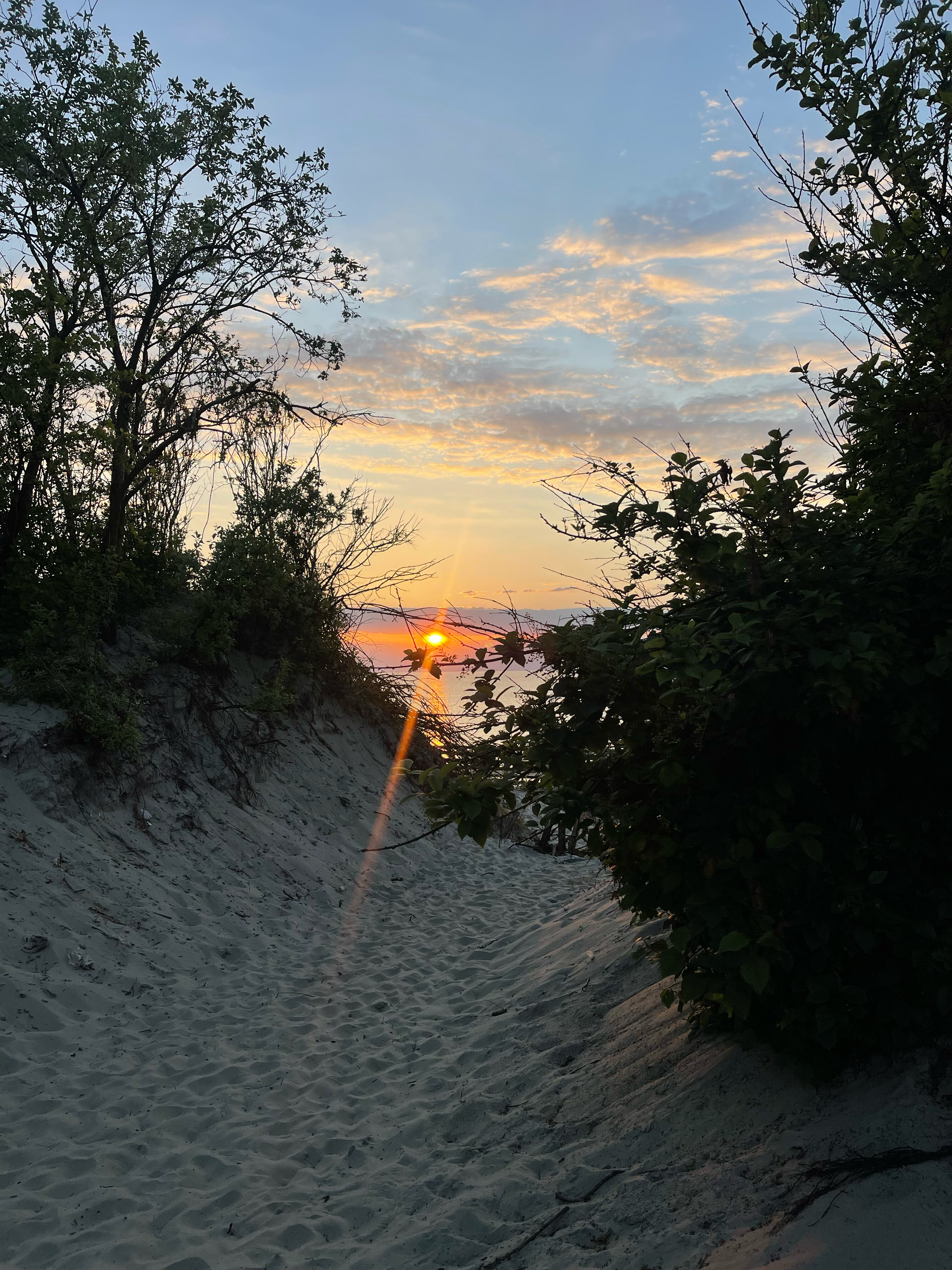 Фото Золотые пески