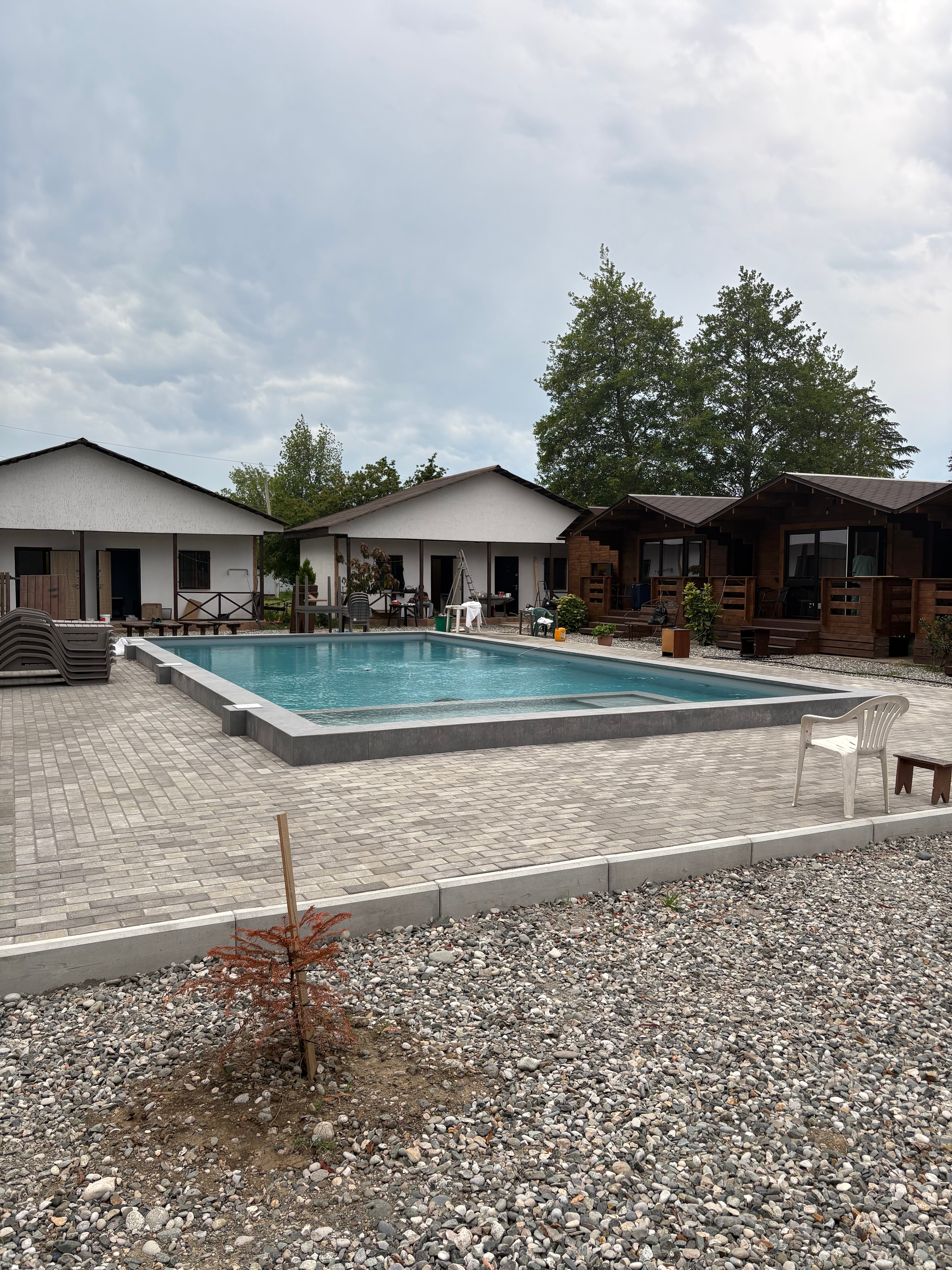 Фото Эвкалипт