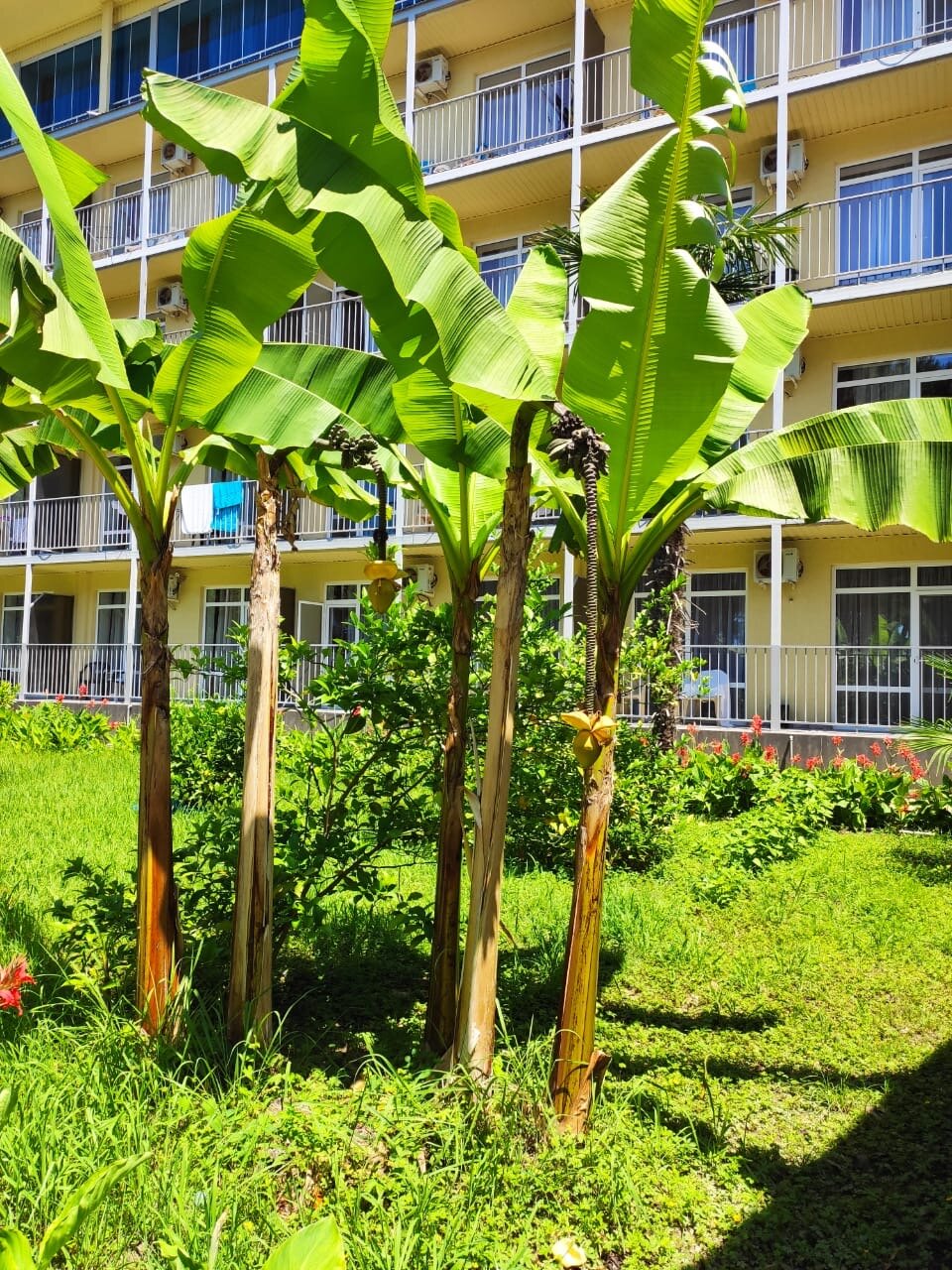 Фото отеля 2