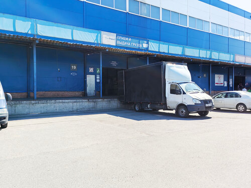 Жапон порно жұлдыздарының суреттері