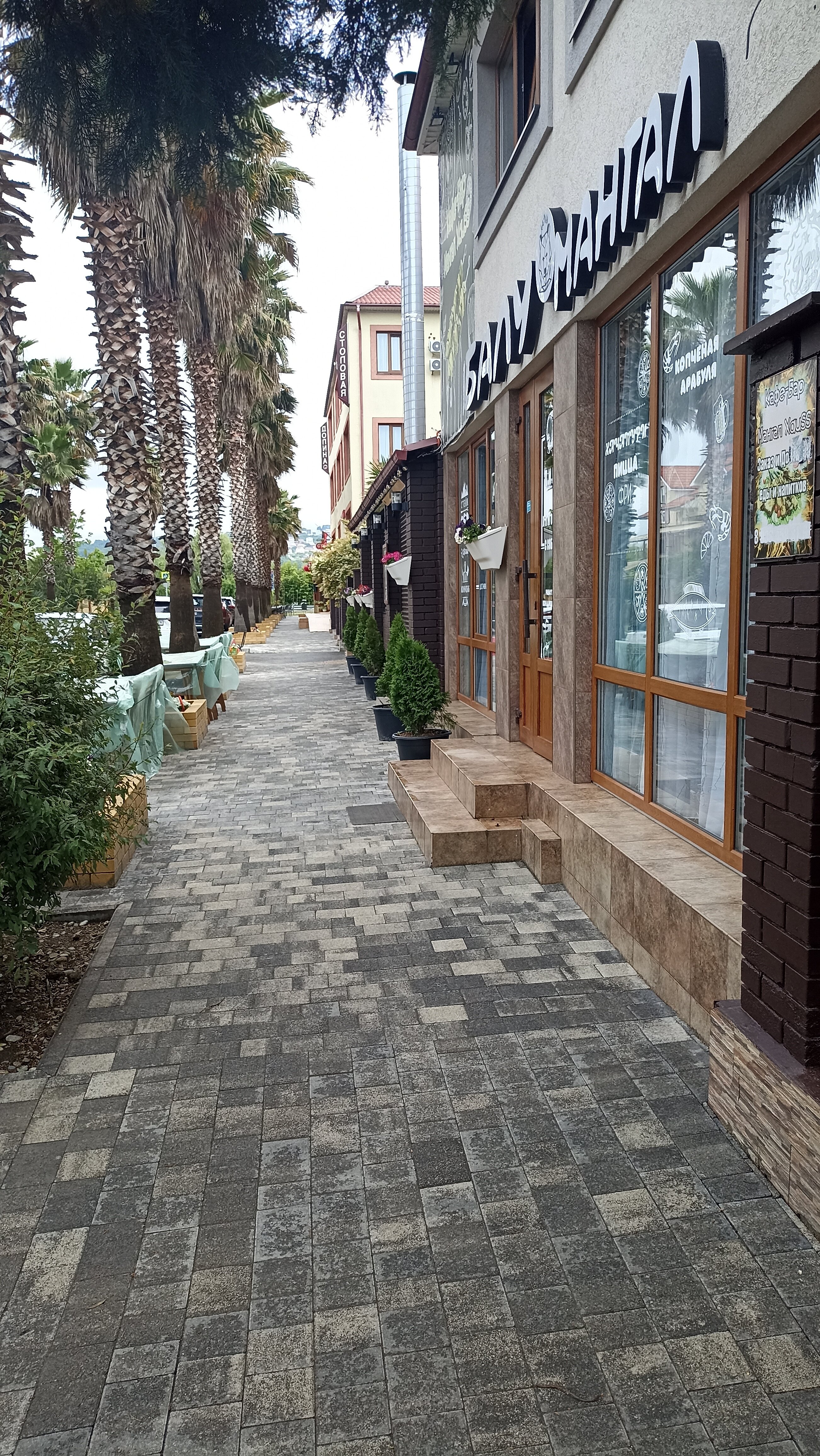 Фото Долина