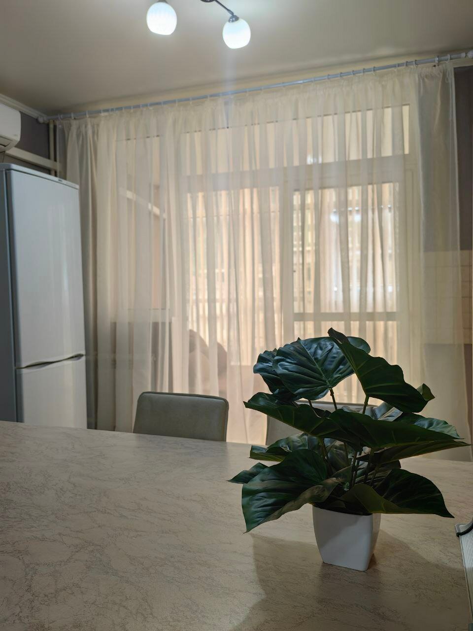 Фото Жюль Верн