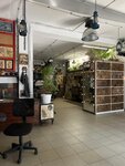 Кашалот (Alekseya Tolstogo Street, 75), tattoo studio