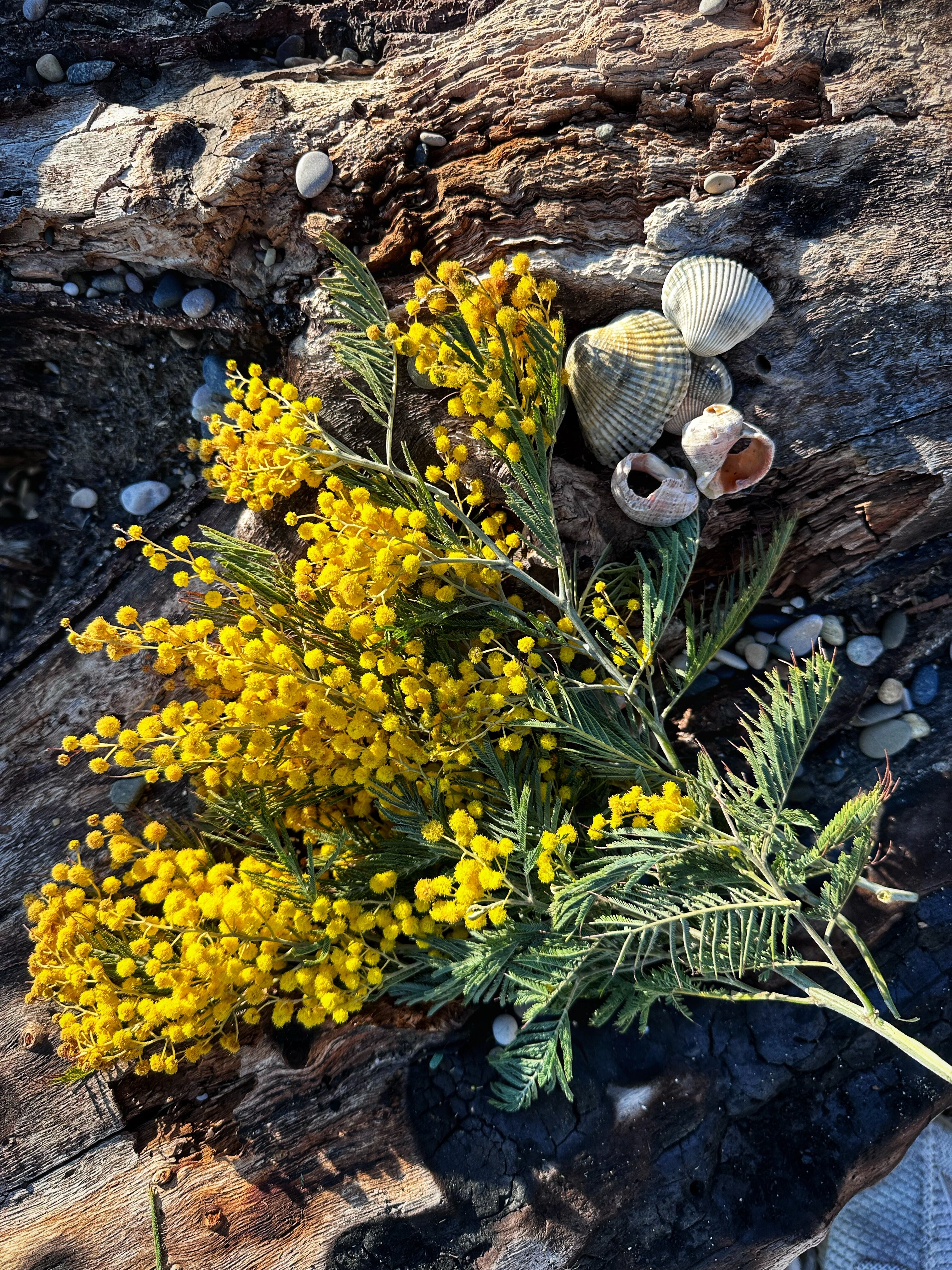 Фото Набережная Виктория