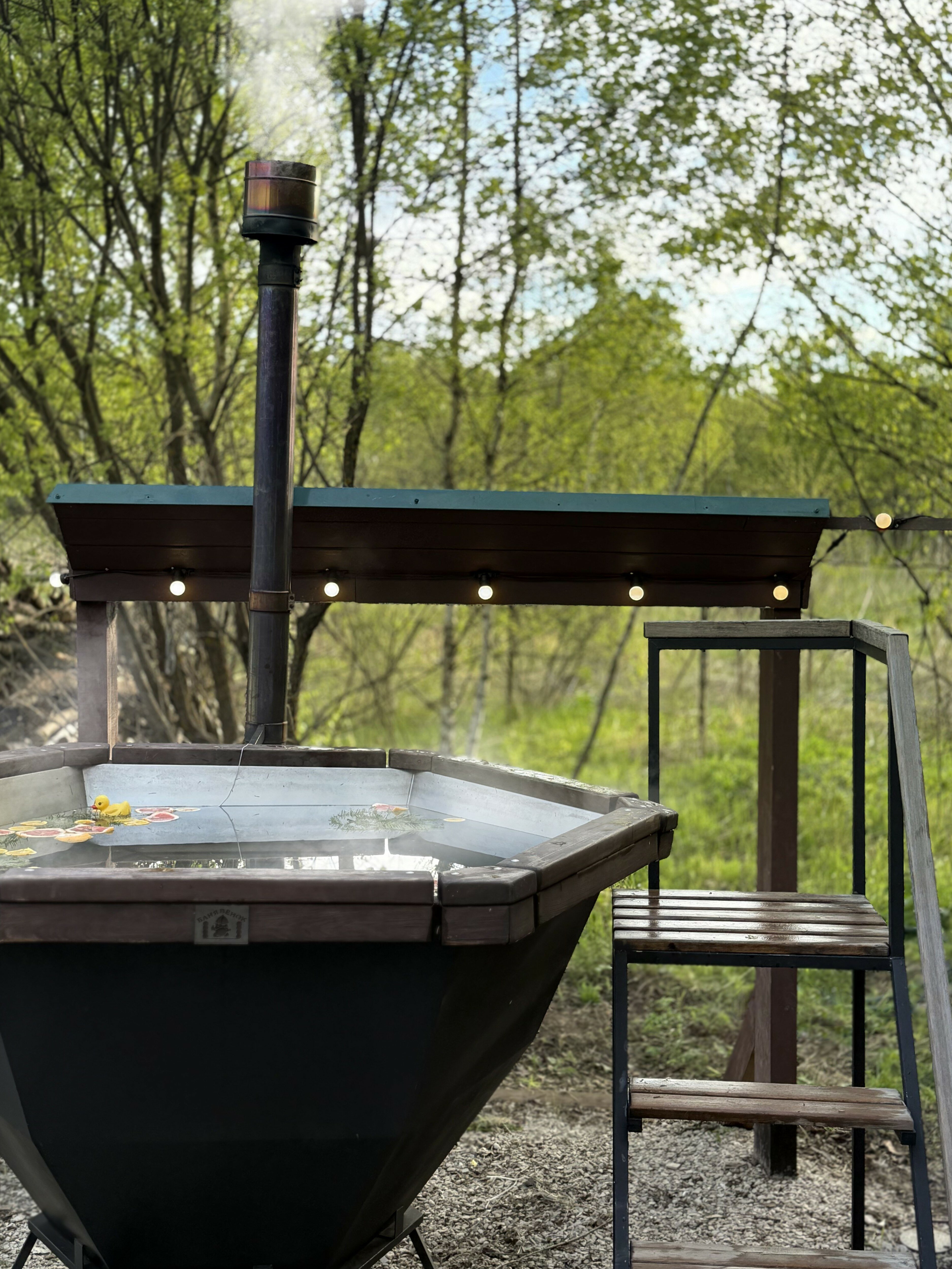 Фото Тишь да Лес