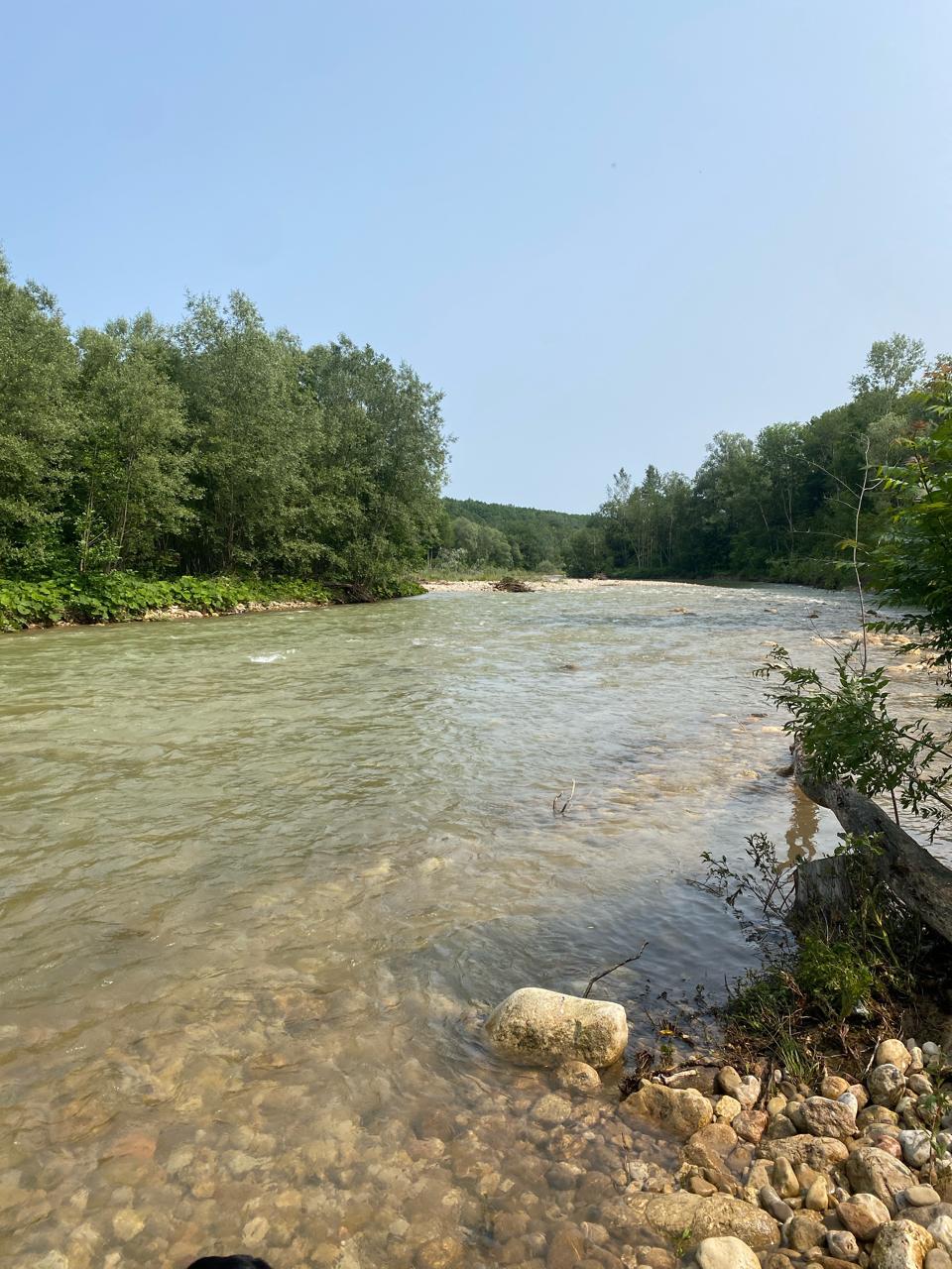 Фото Солярис