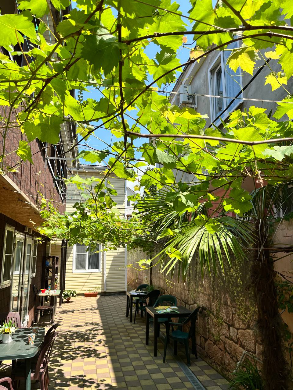 Фото Полина