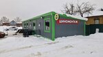 Sd Service (derevnya Oseyevo, Tsentralnaya ulitsa, 1), tire service