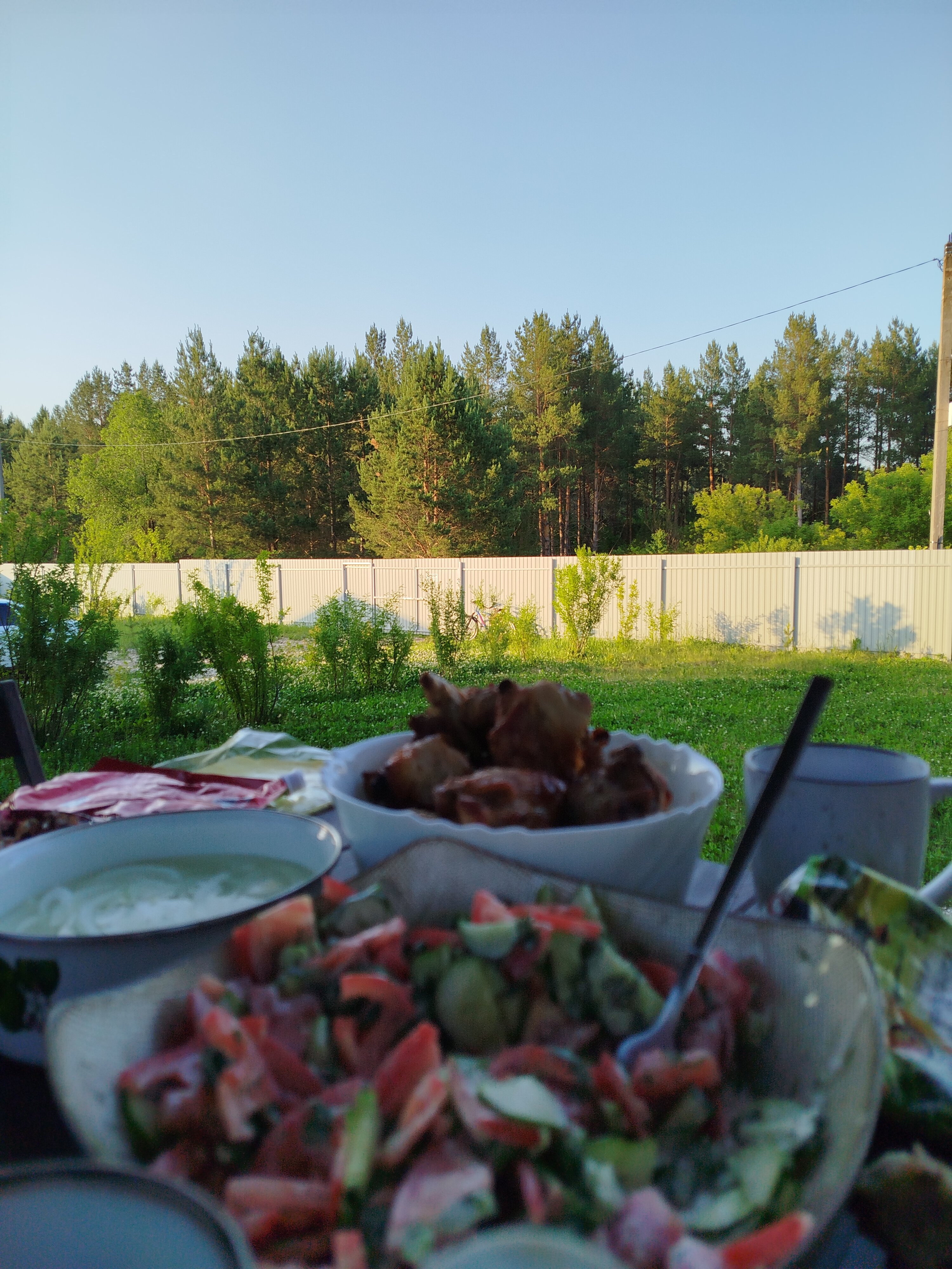 Фото Сосны. Тут