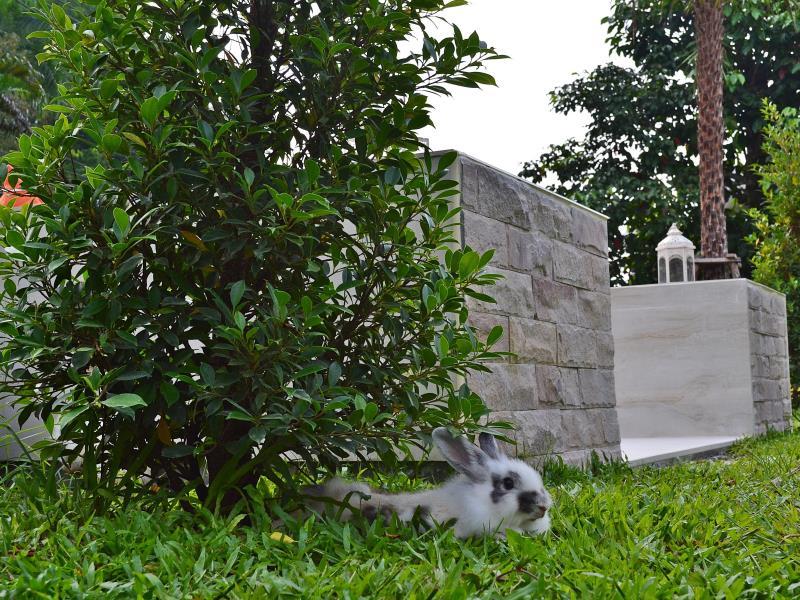 Фото V Valley Resort