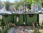 Waste sorting point (Yerevan, Beknazaryan Street), waste sorting