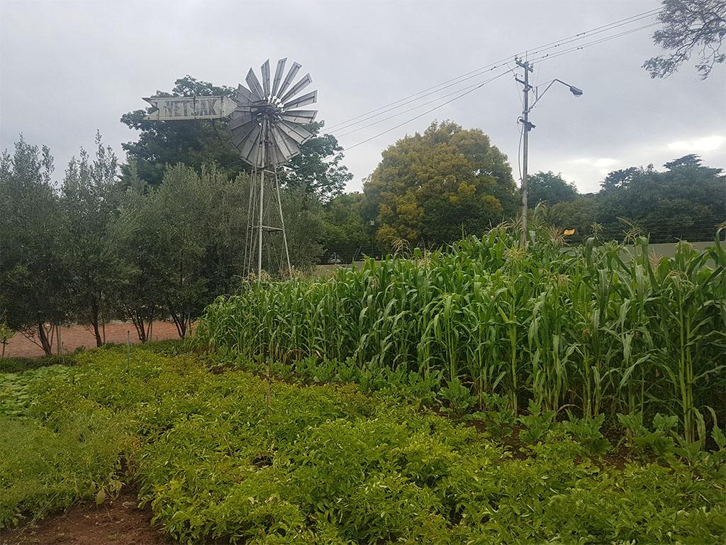 Фото Blackheath Manor Guest House