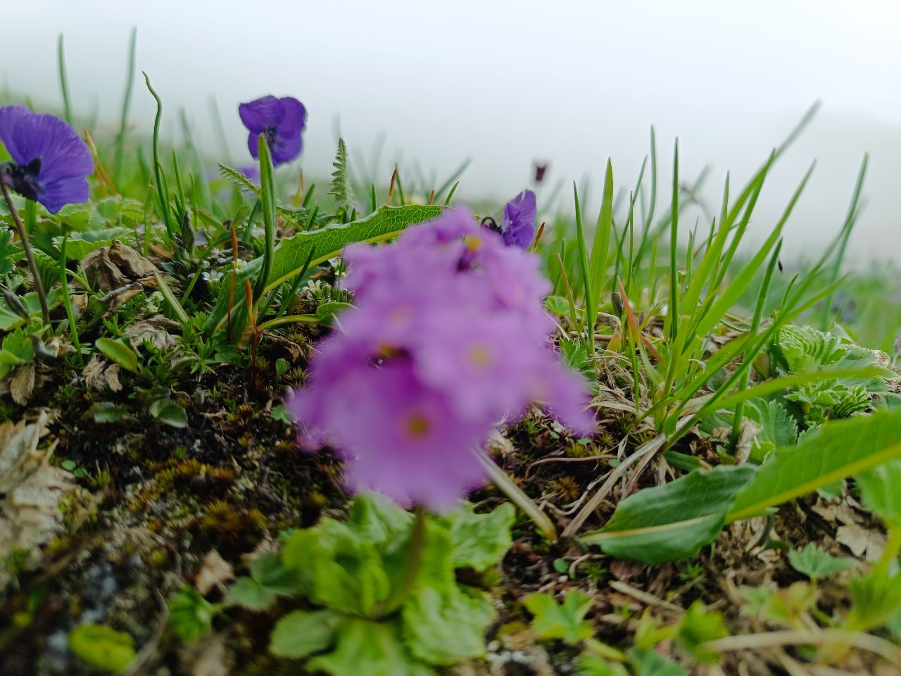 Фото Shymbulak Resort Hotel and SPA