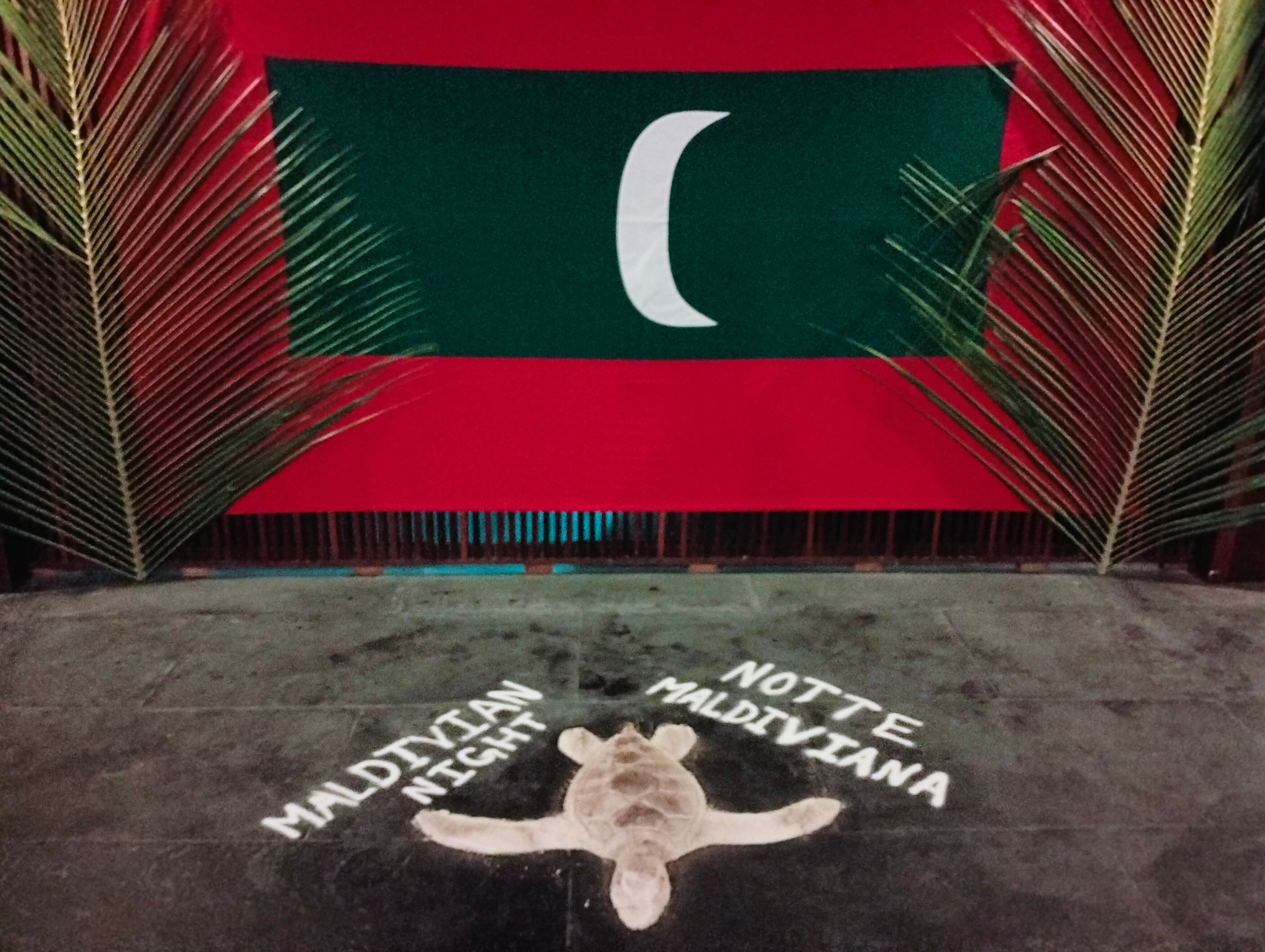 Фото The Barefoot Eco Hotel