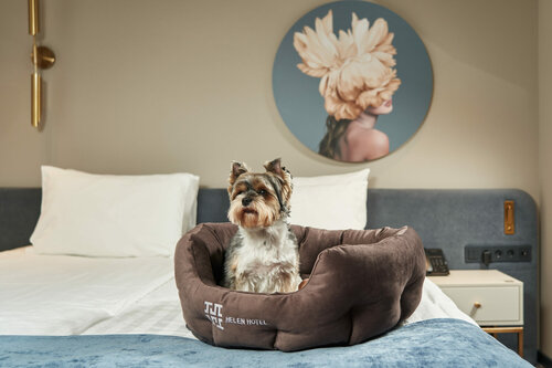 Внешний вид отеля Helen в Санкт-Петербурге, фото 4