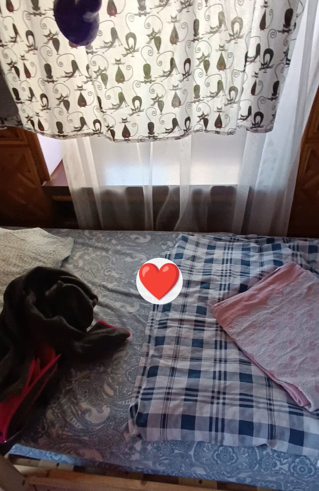 Фото ГородЪ