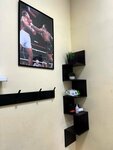 Boxing club Legenda (ulitsa Sofyi Perovskoy, 15/2) ، نادي رياضي، مجموعة