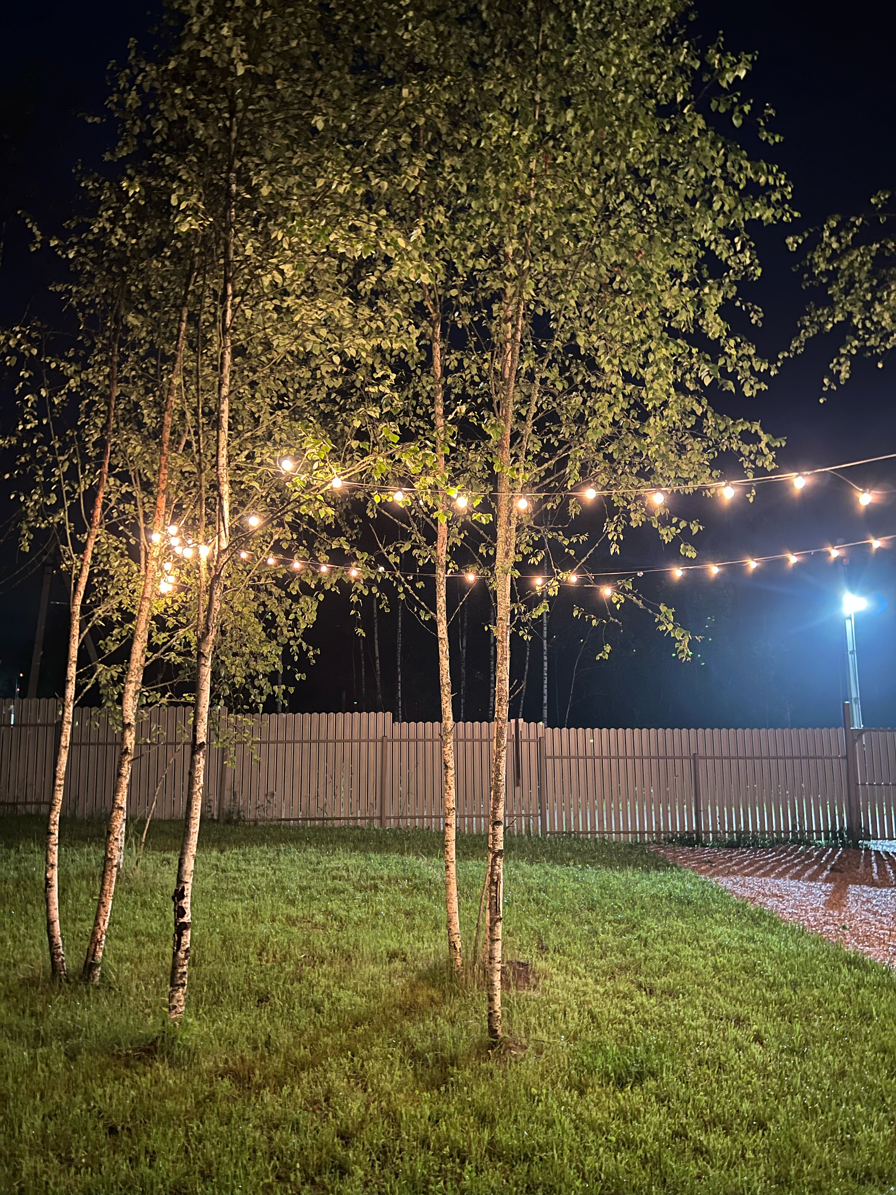 Фото У леса