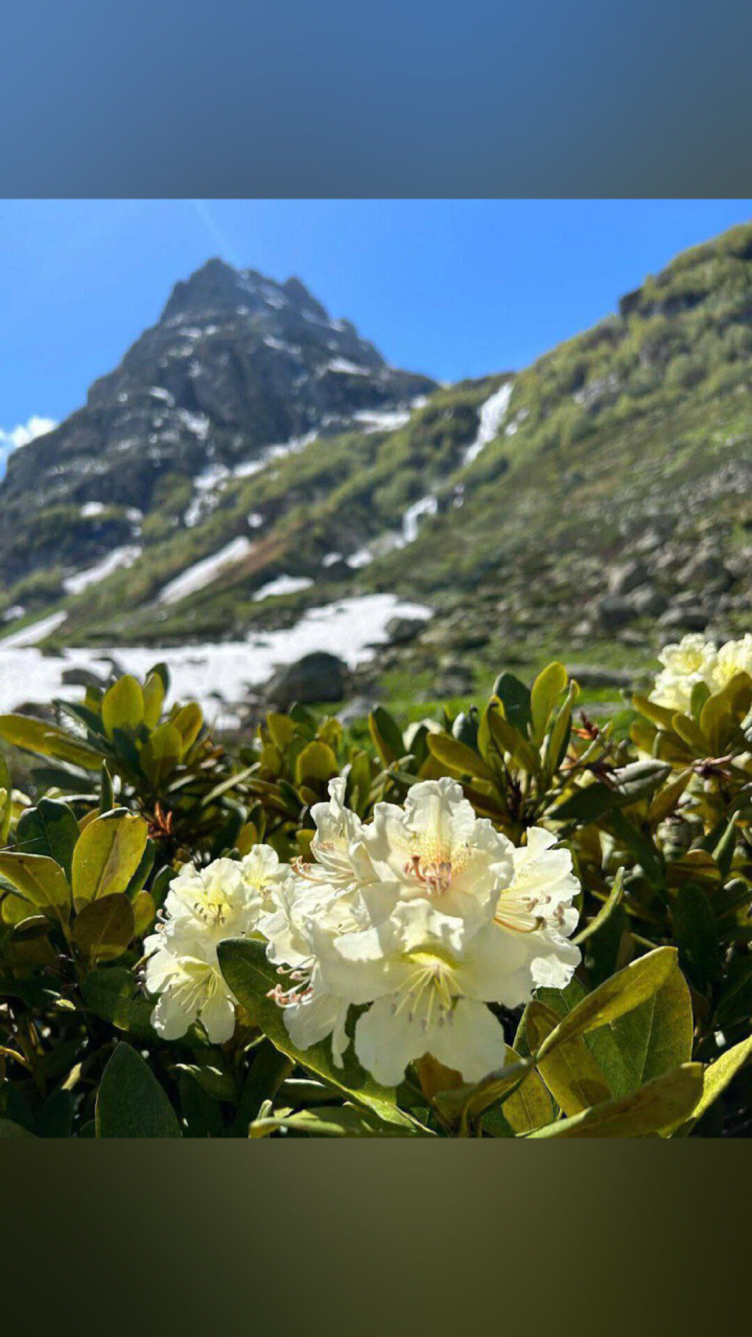 Фото Why Not Relax