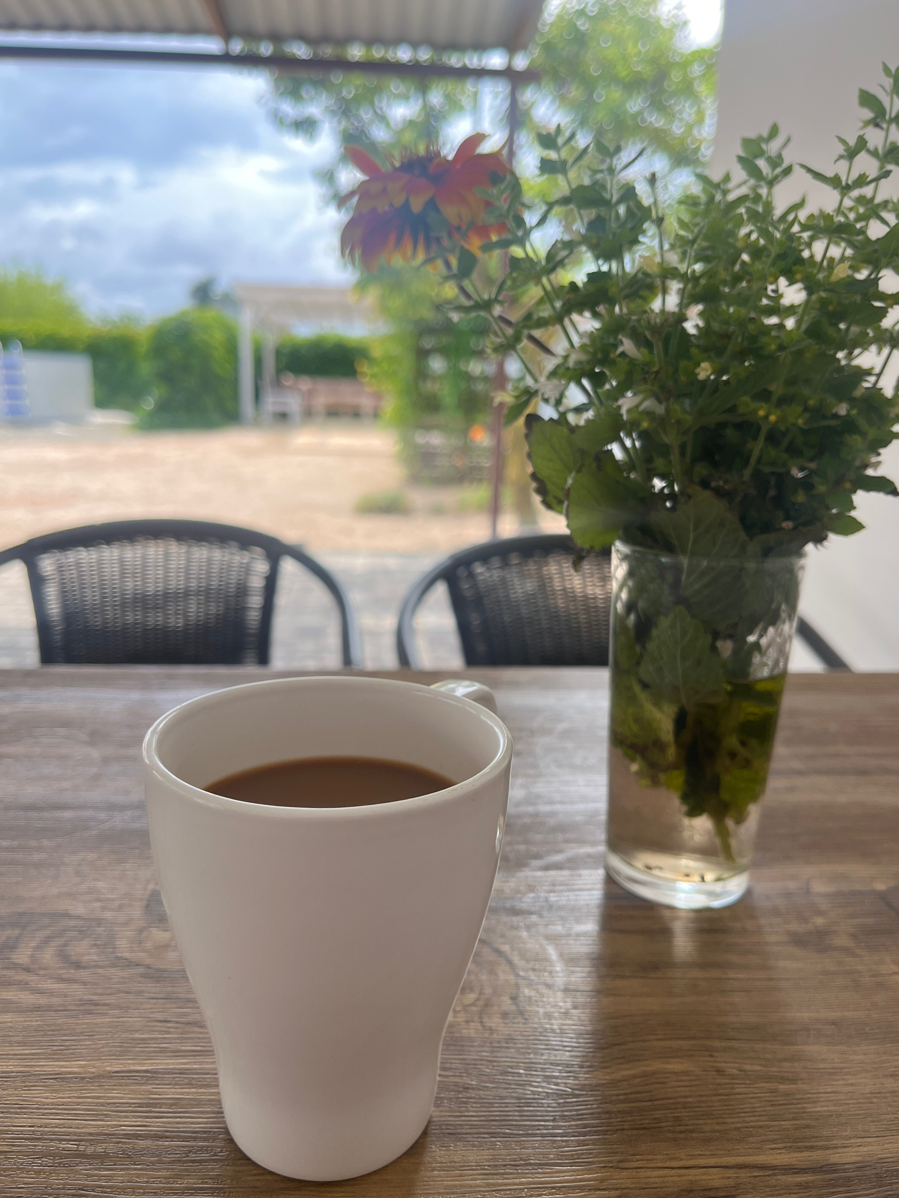 Фото Лаванда