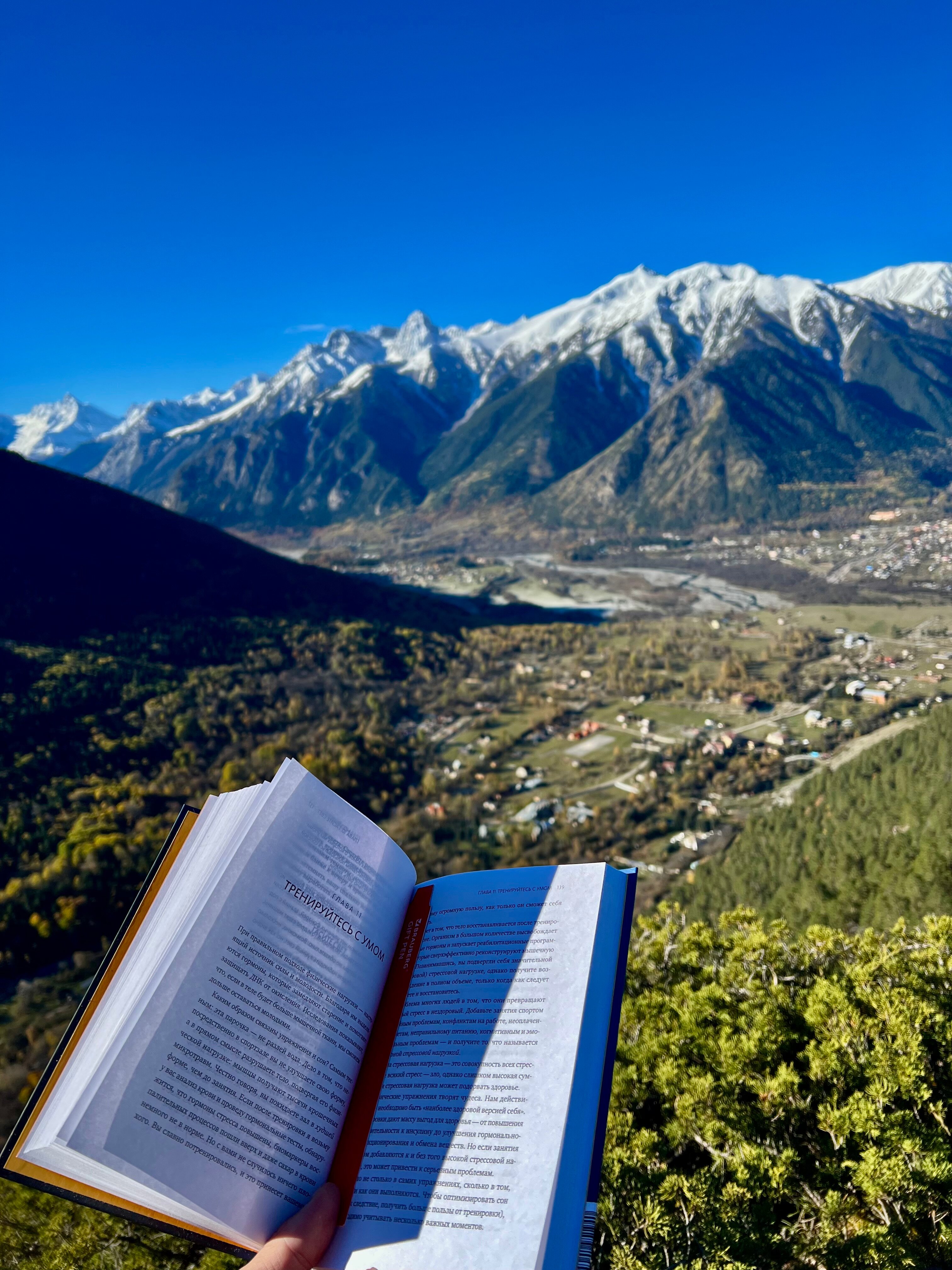 Фото Why Not Relax