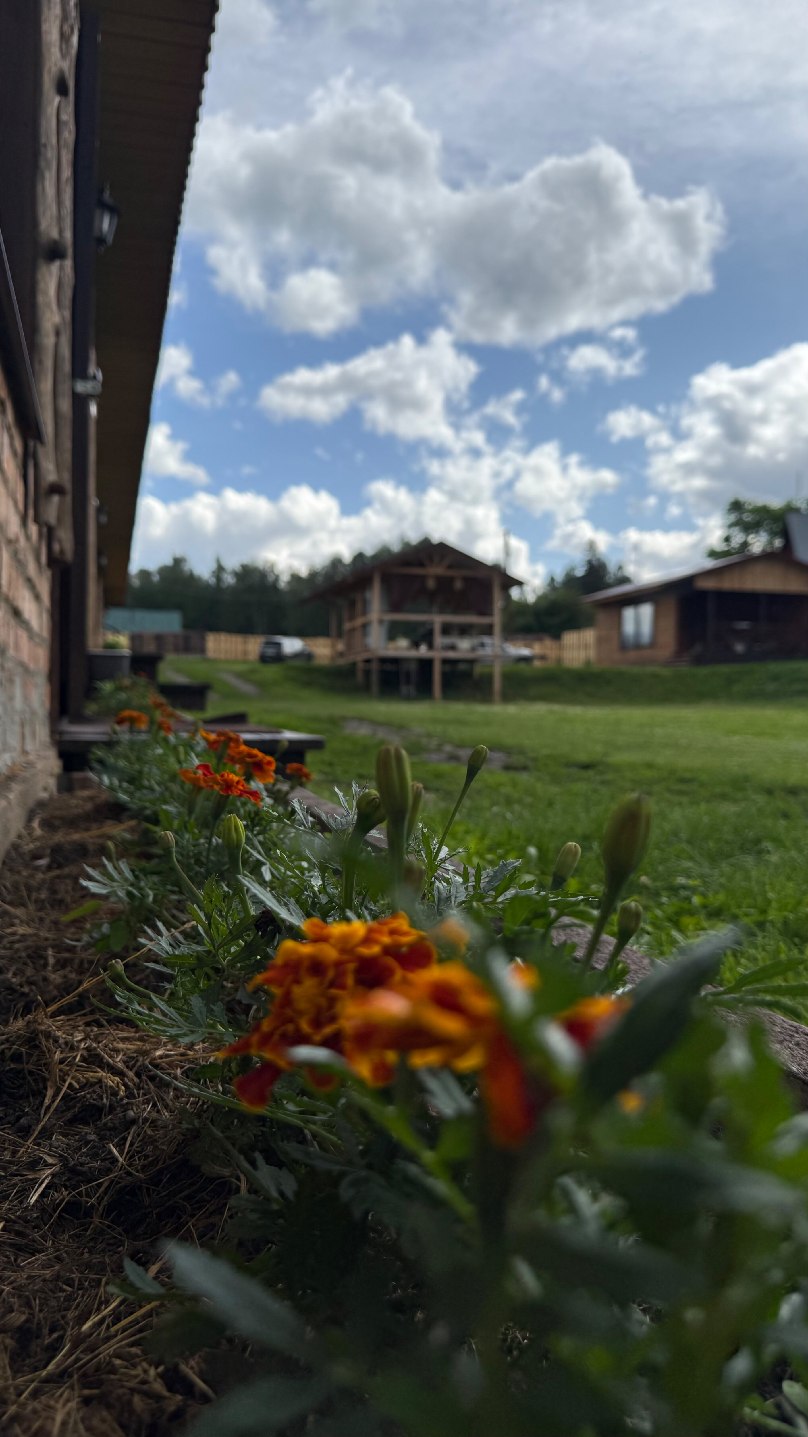 Фото Алтай-Долина