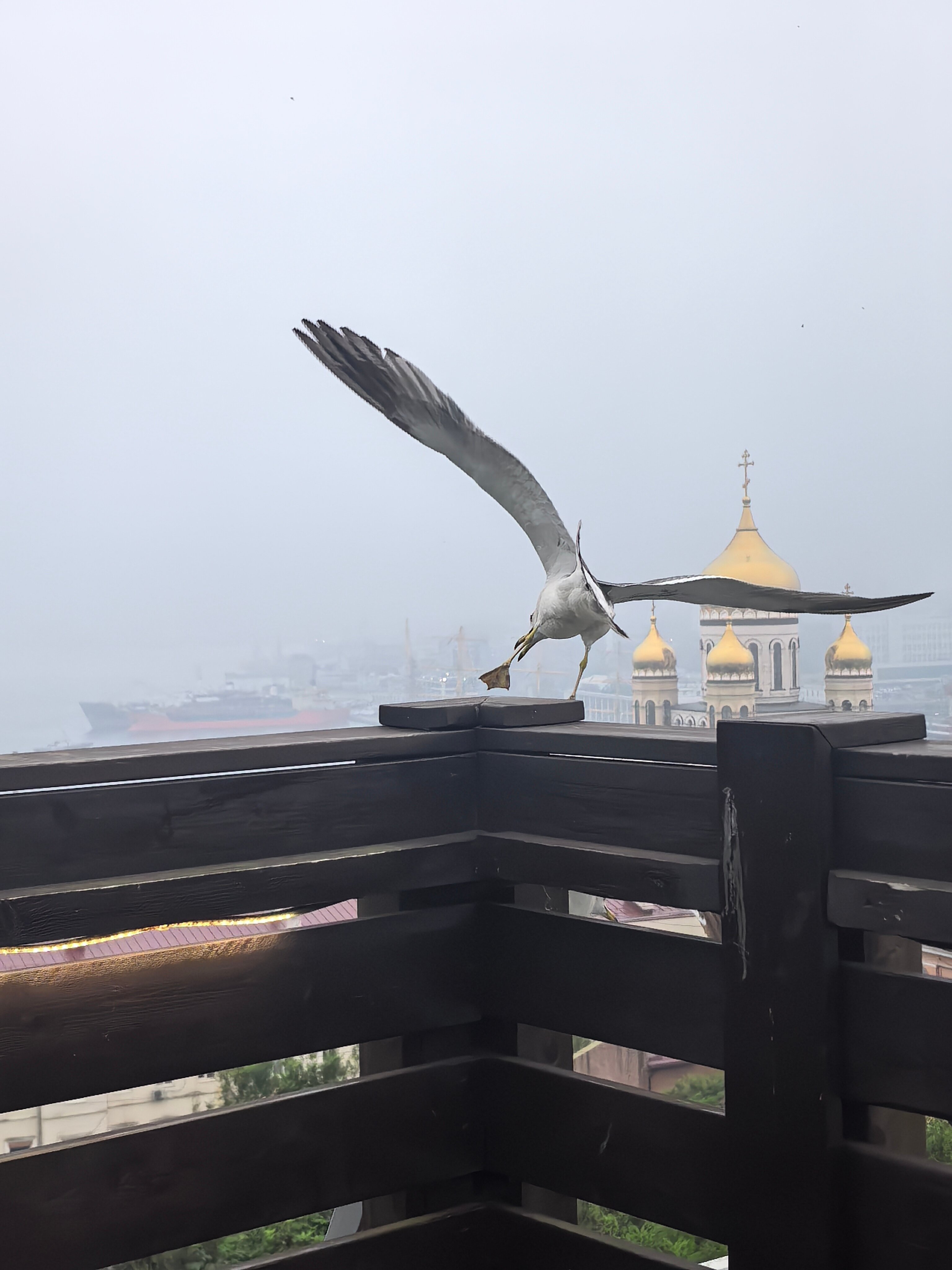 Фото Golden Horn Bay View