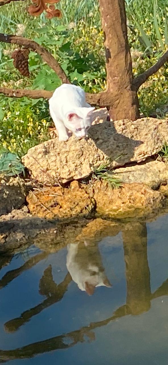 Фото Солнечный Бриз