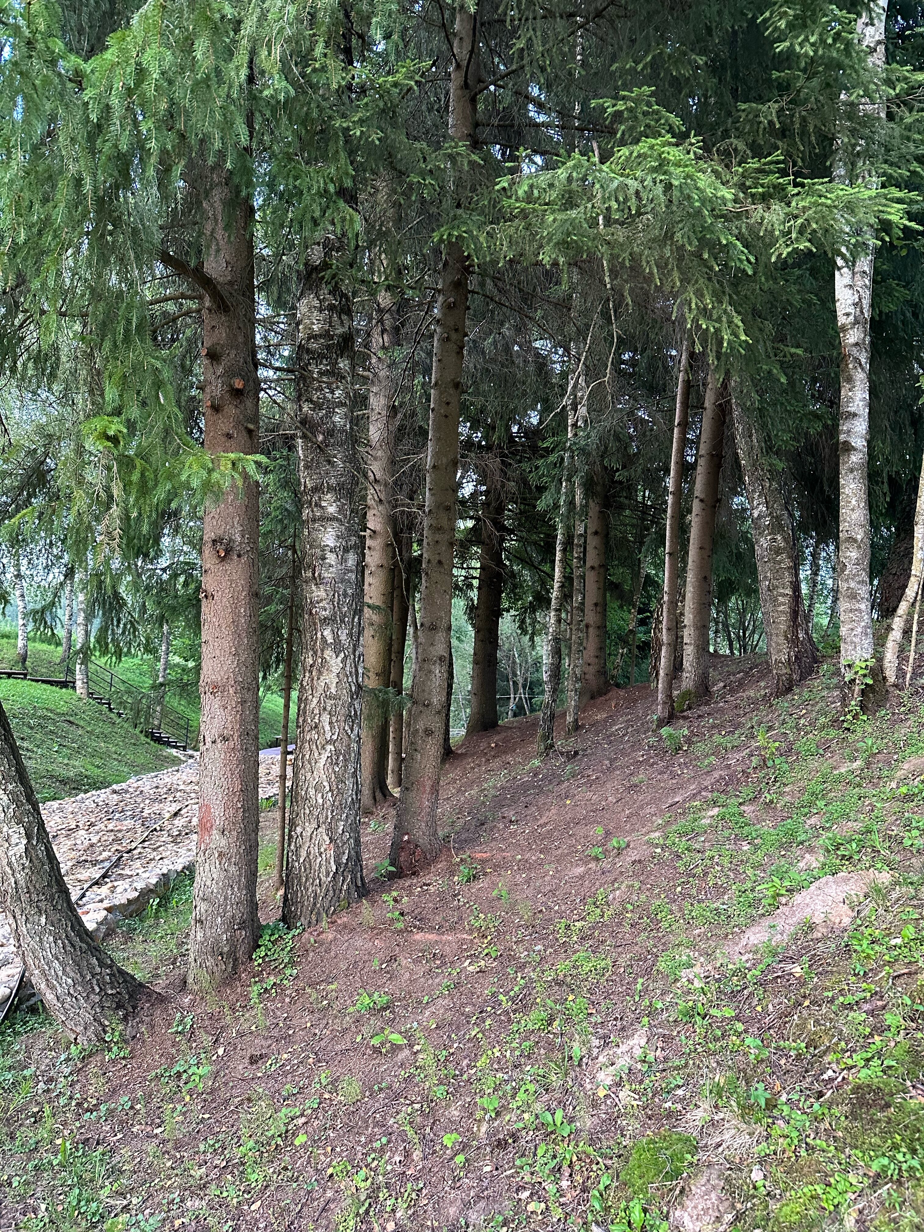 Фото Гостевой комплекс Сычёвки