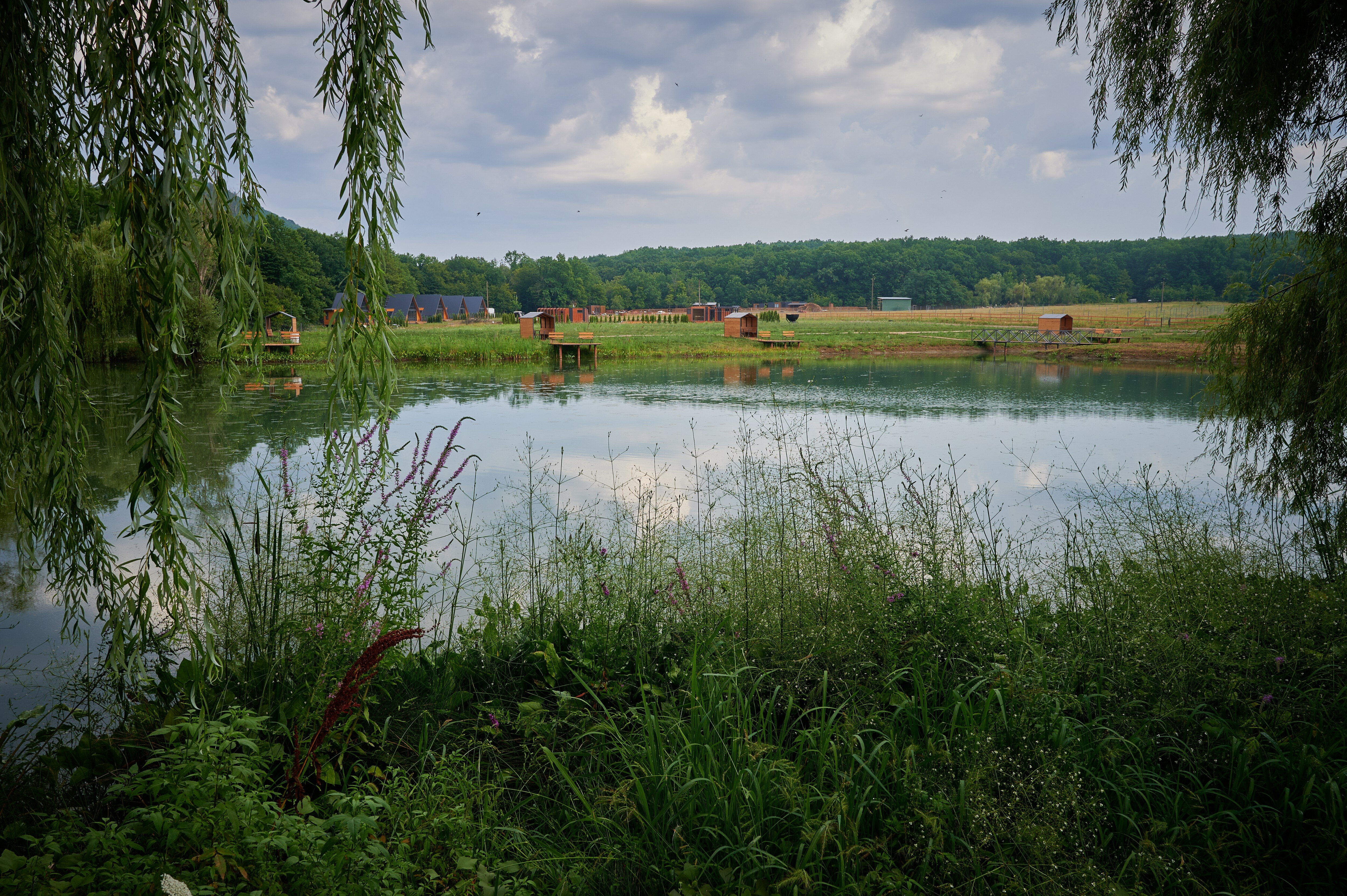 Фото Клевер Парк