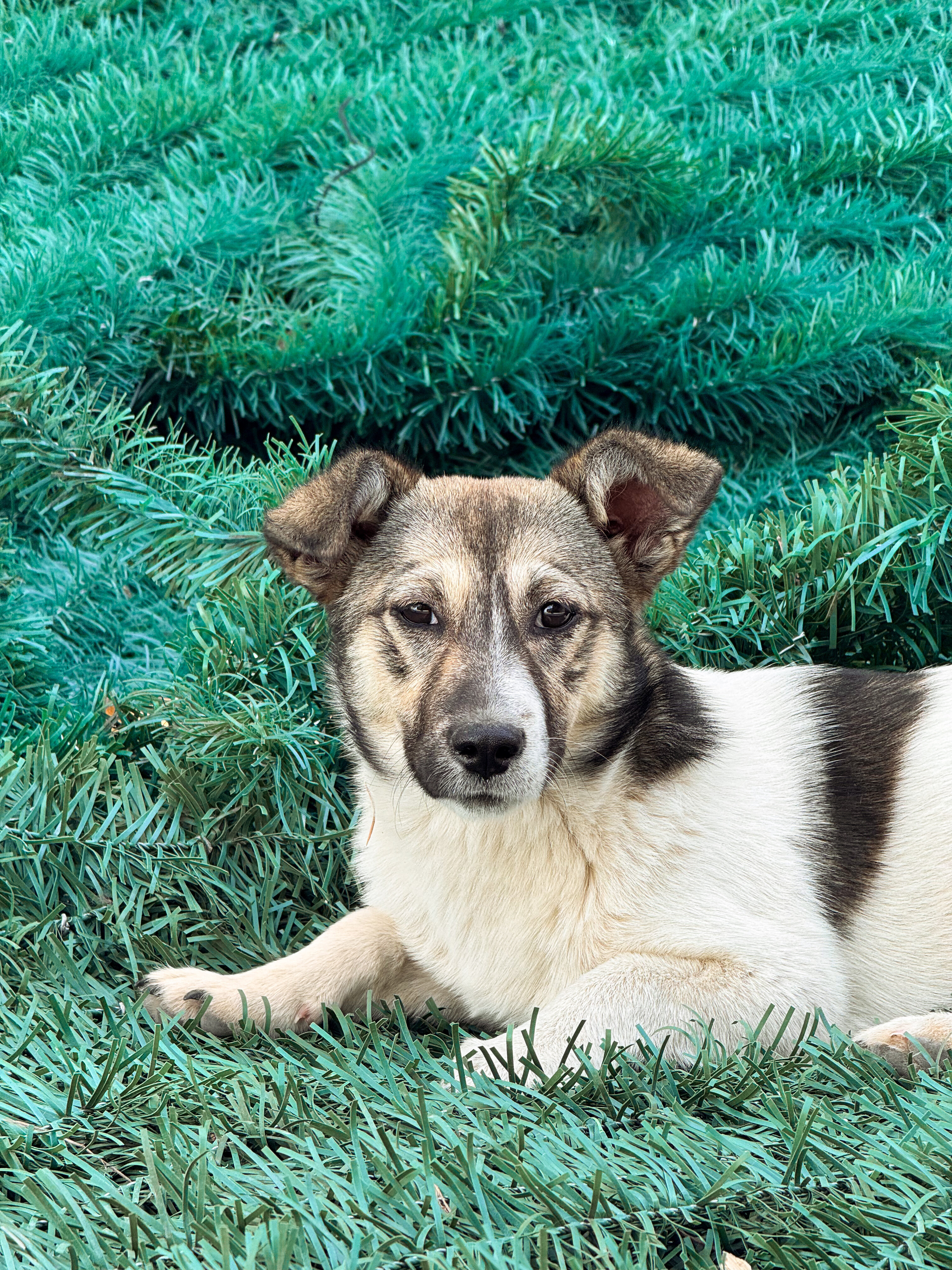 Фото Гостевой дом 2050