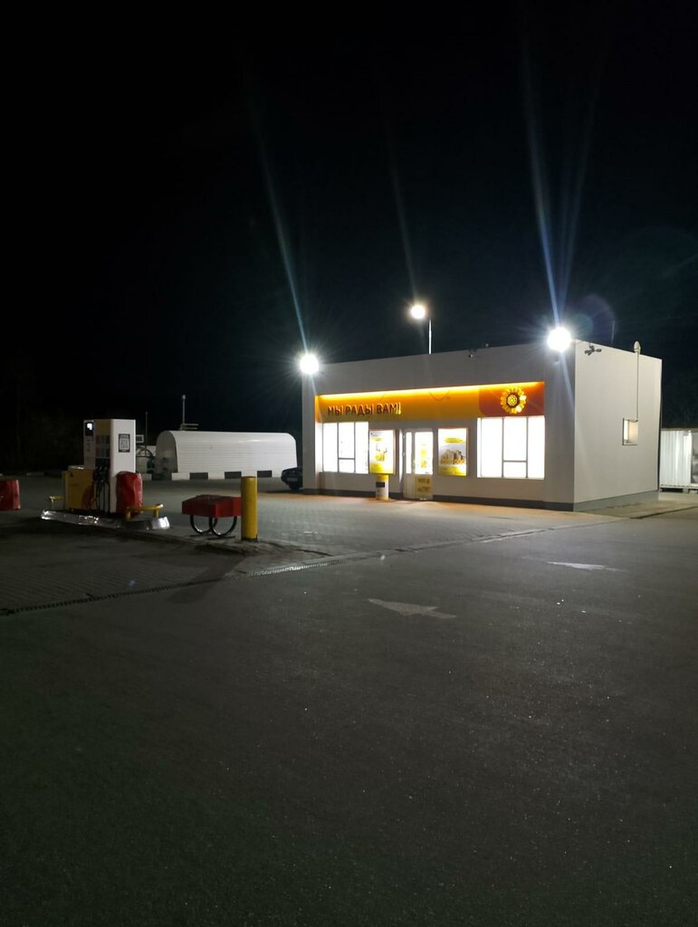 Gas station Роснефть, Nizhny Novgorod Oblast, photo