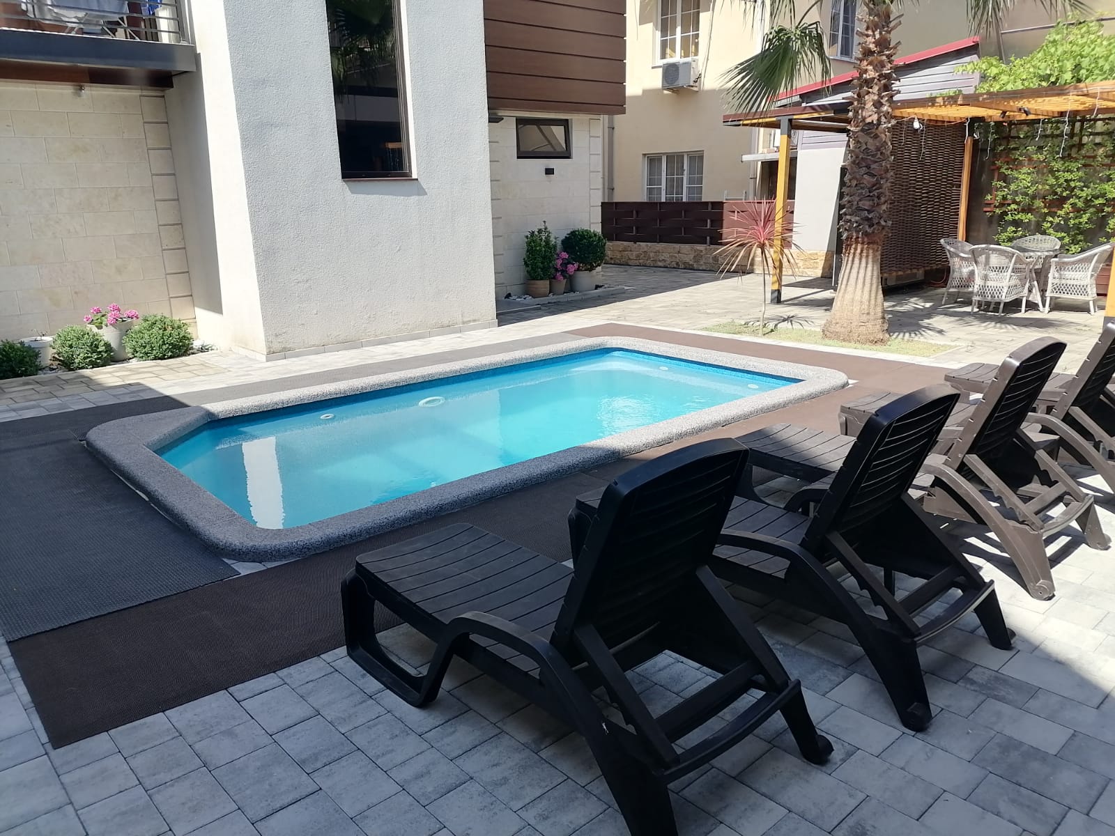 Фото SubTropical