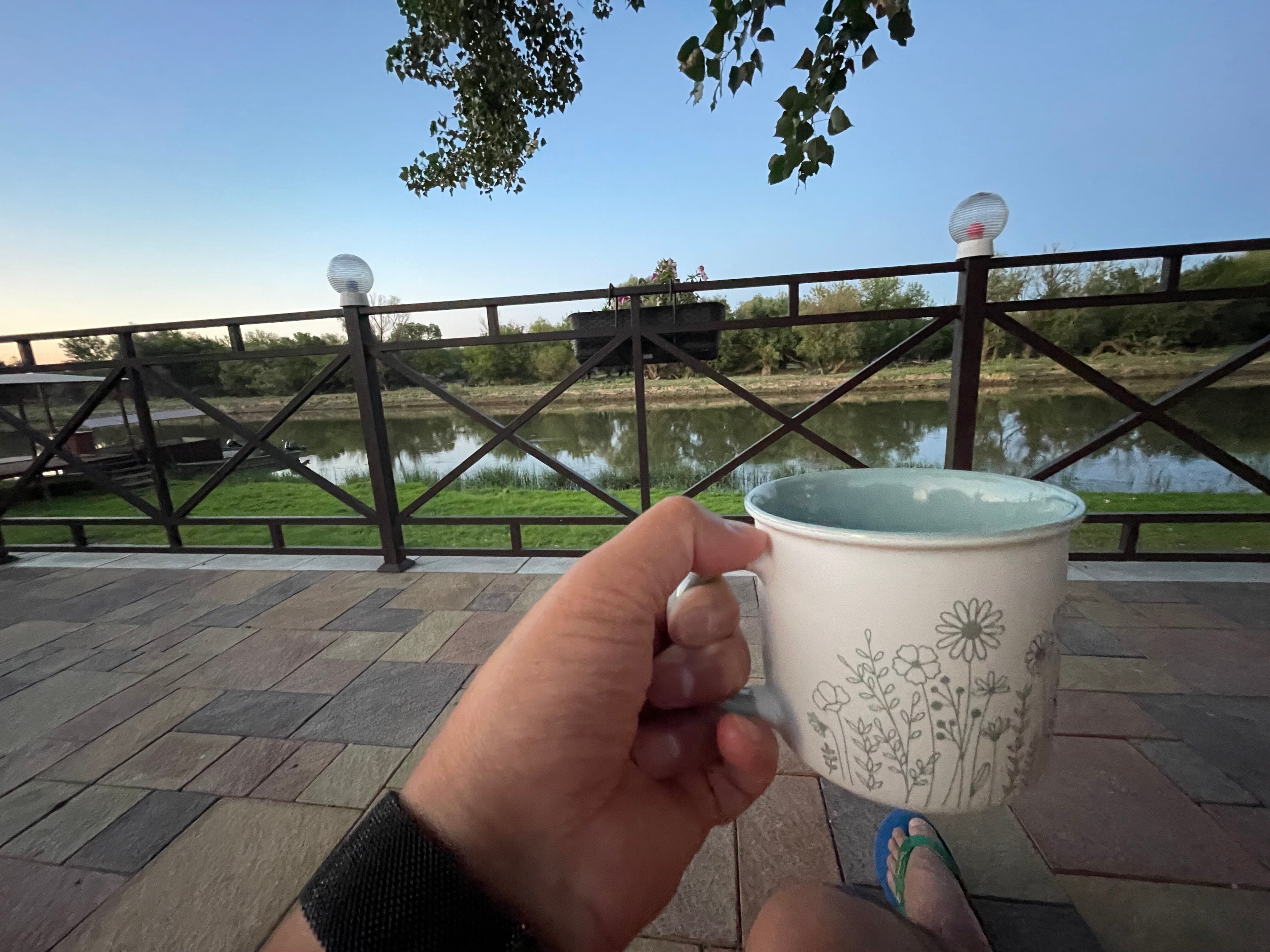 Фото Тополь - Эм