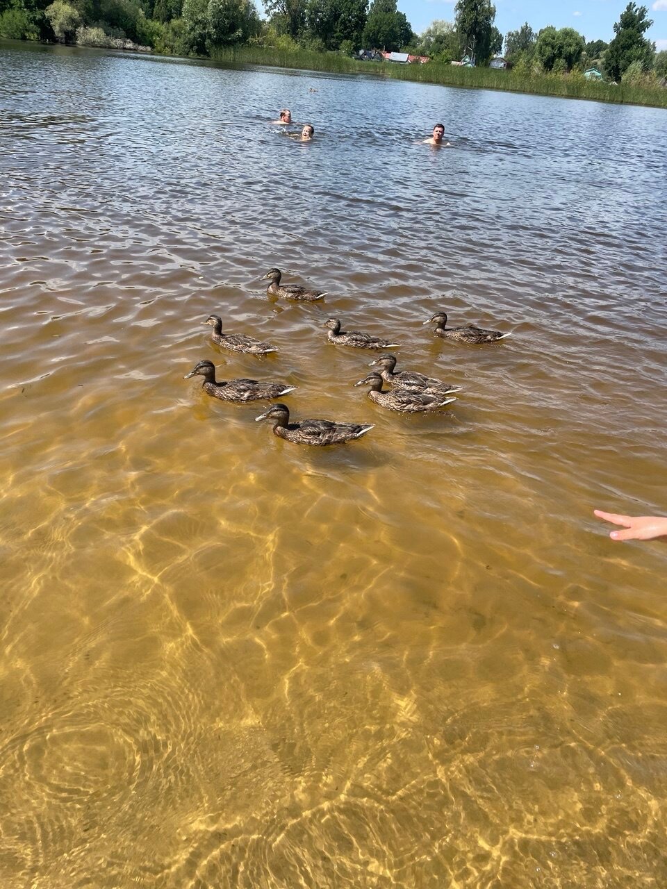 Фото 4 Сезона