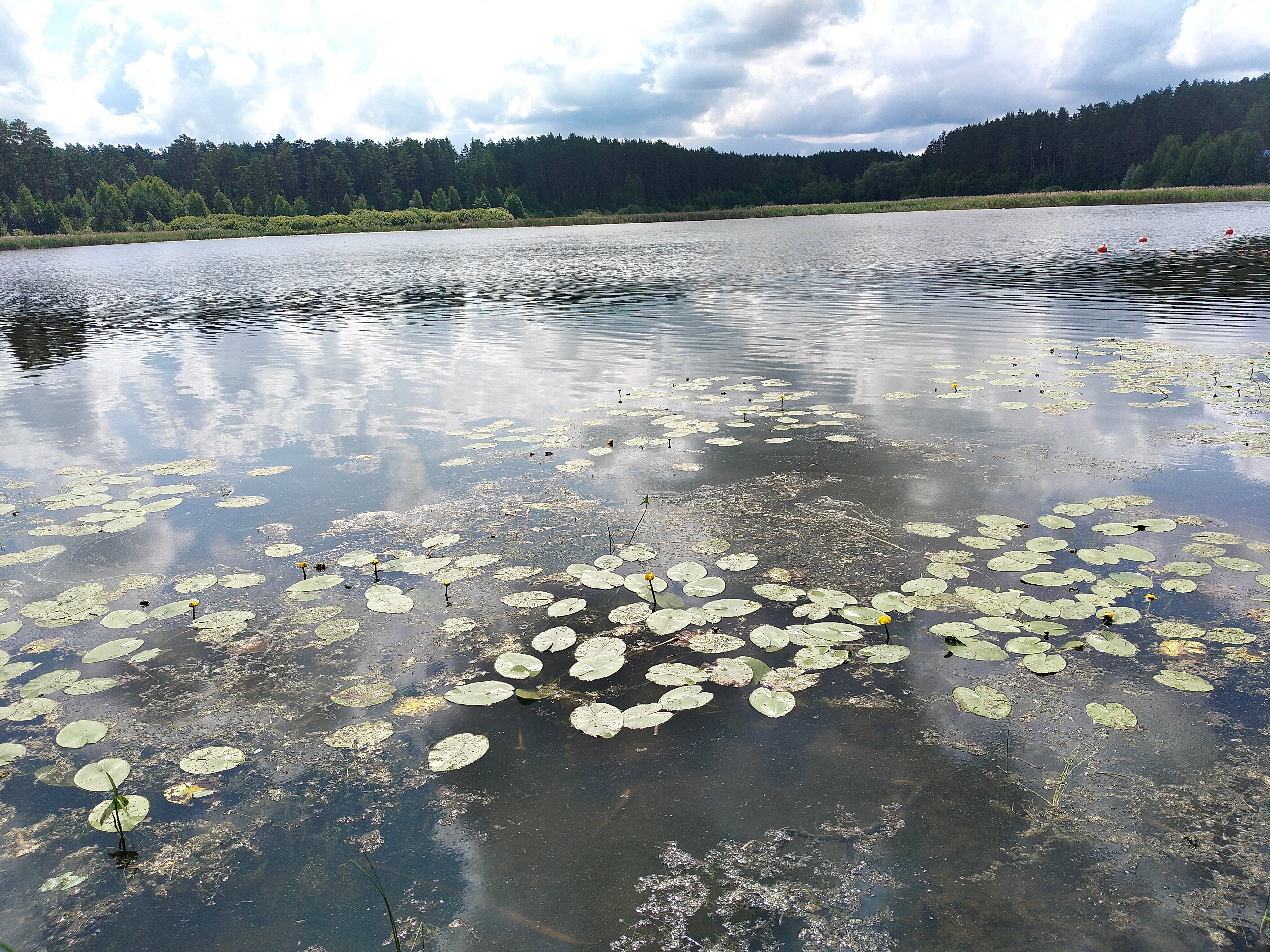Фото База отдыха Яльчик