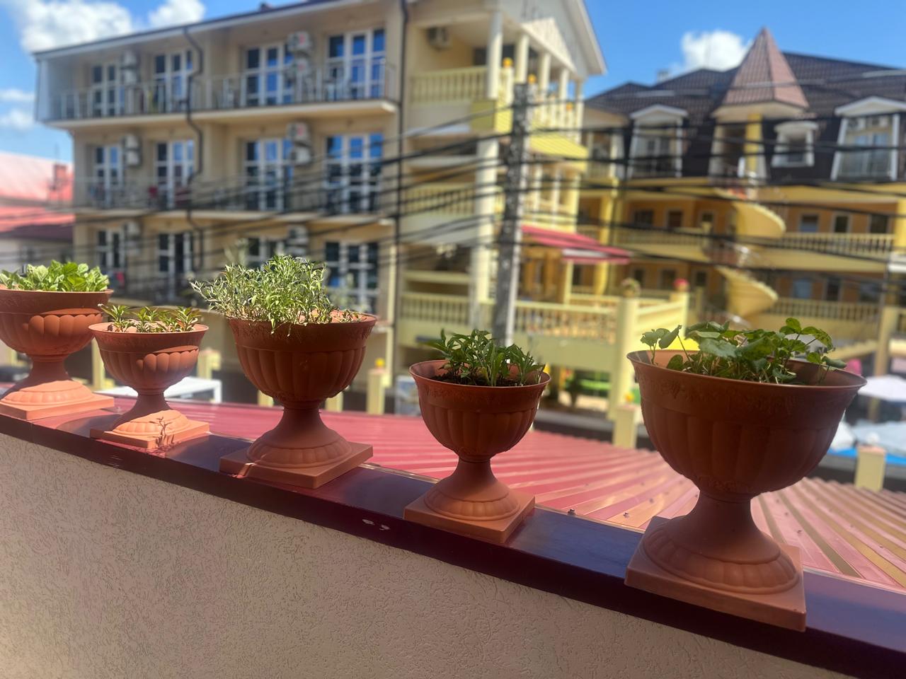 Фото Дивноморское Рандеву