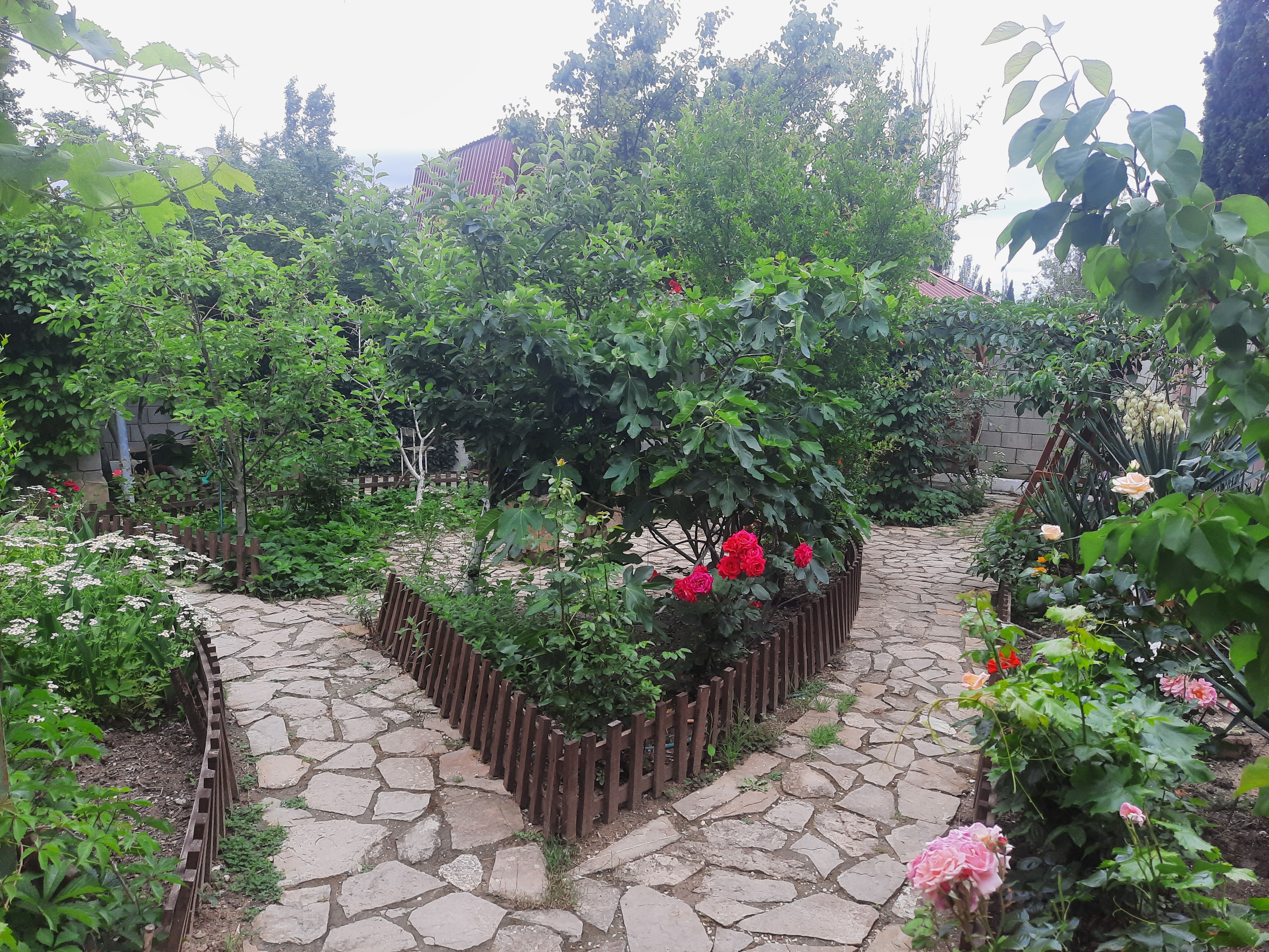 Фото Зелёный дворик