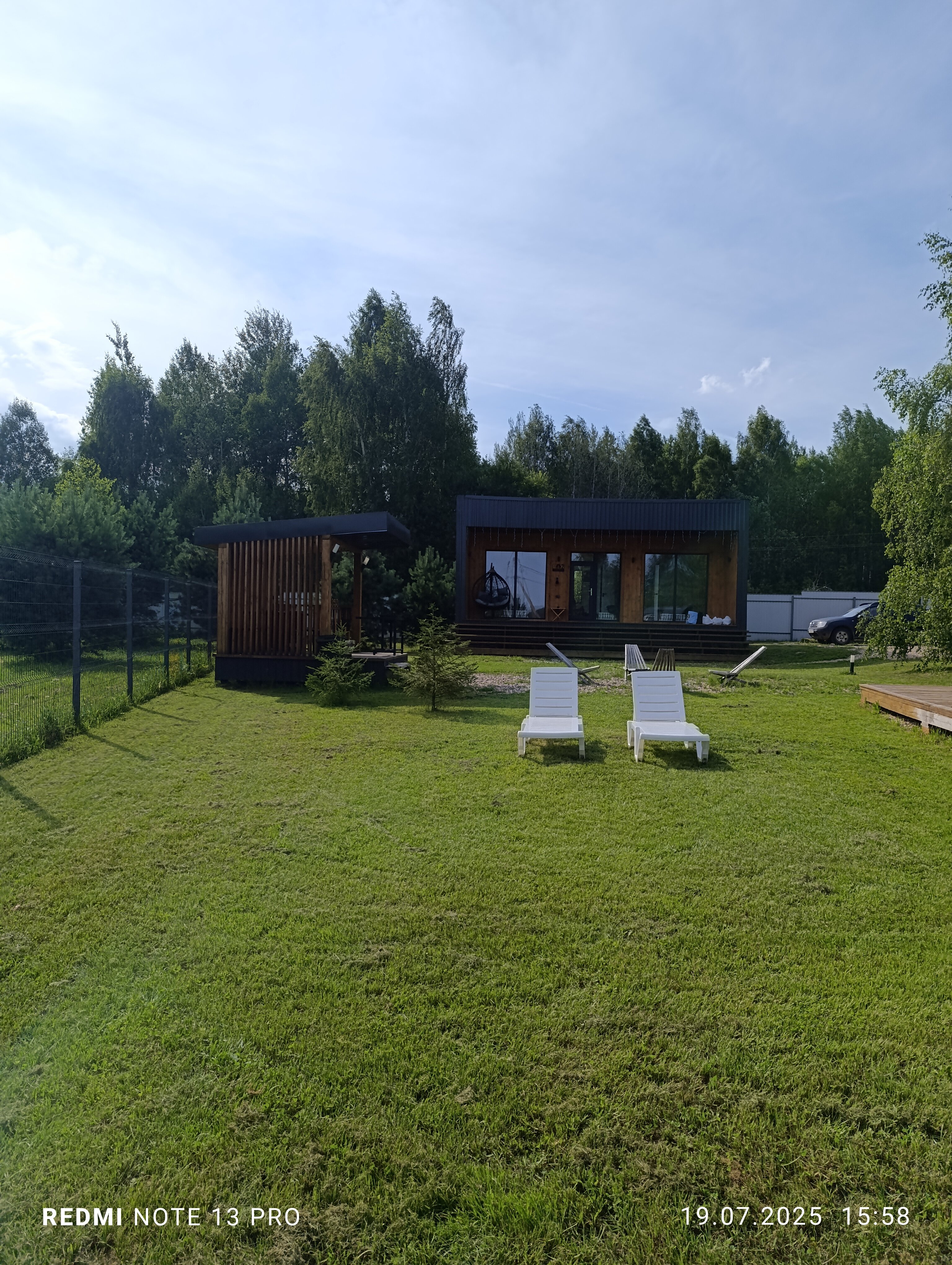 Фото Лес и Волга