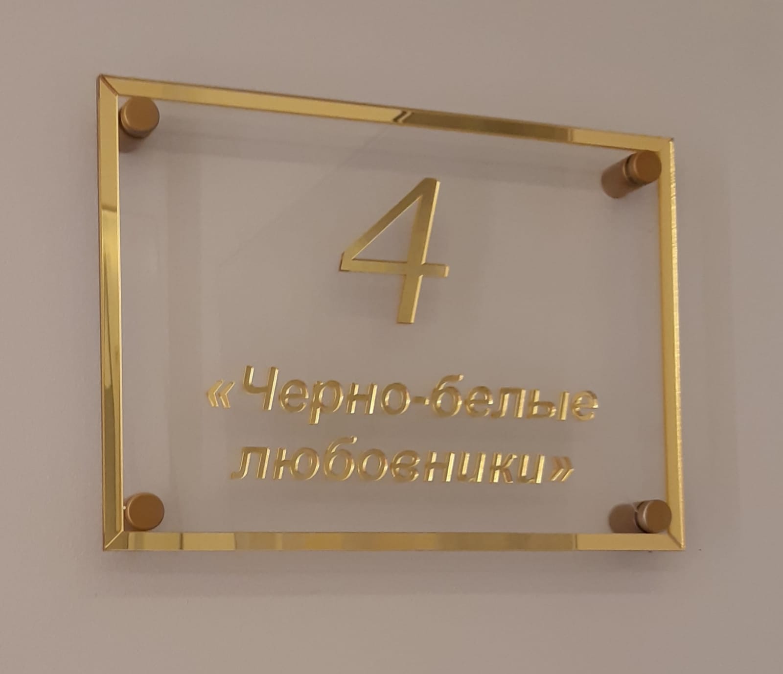 Фото Шагал по Красной площади