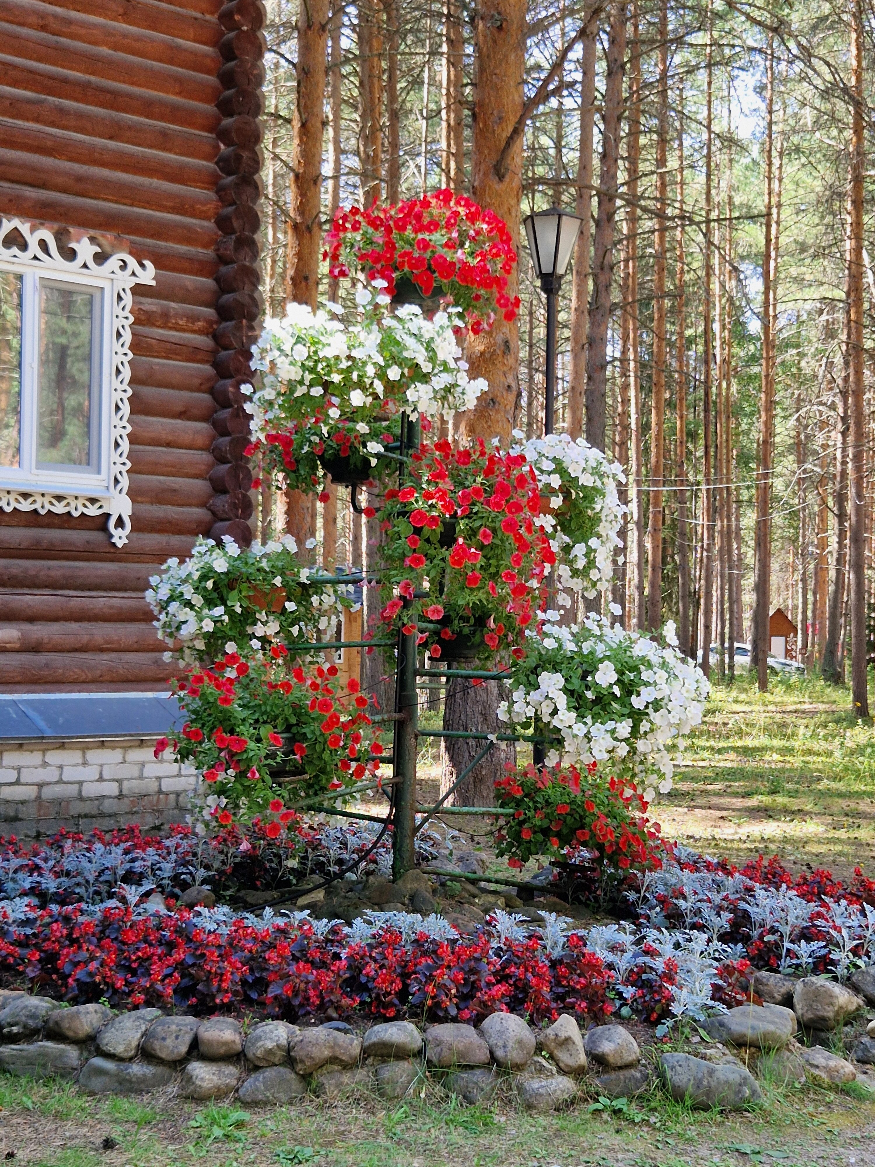 Фото Вотчина Деда Мороза