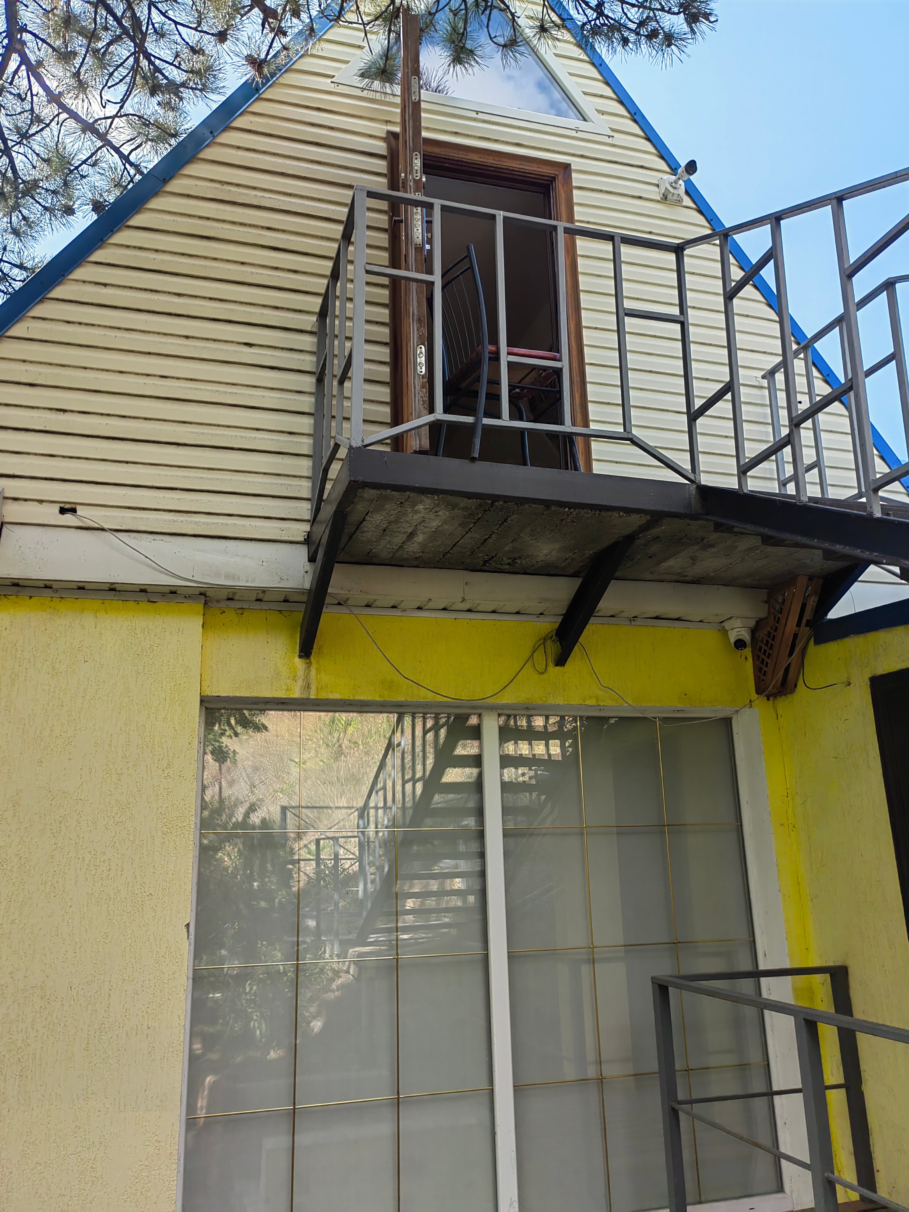 Фото Форест