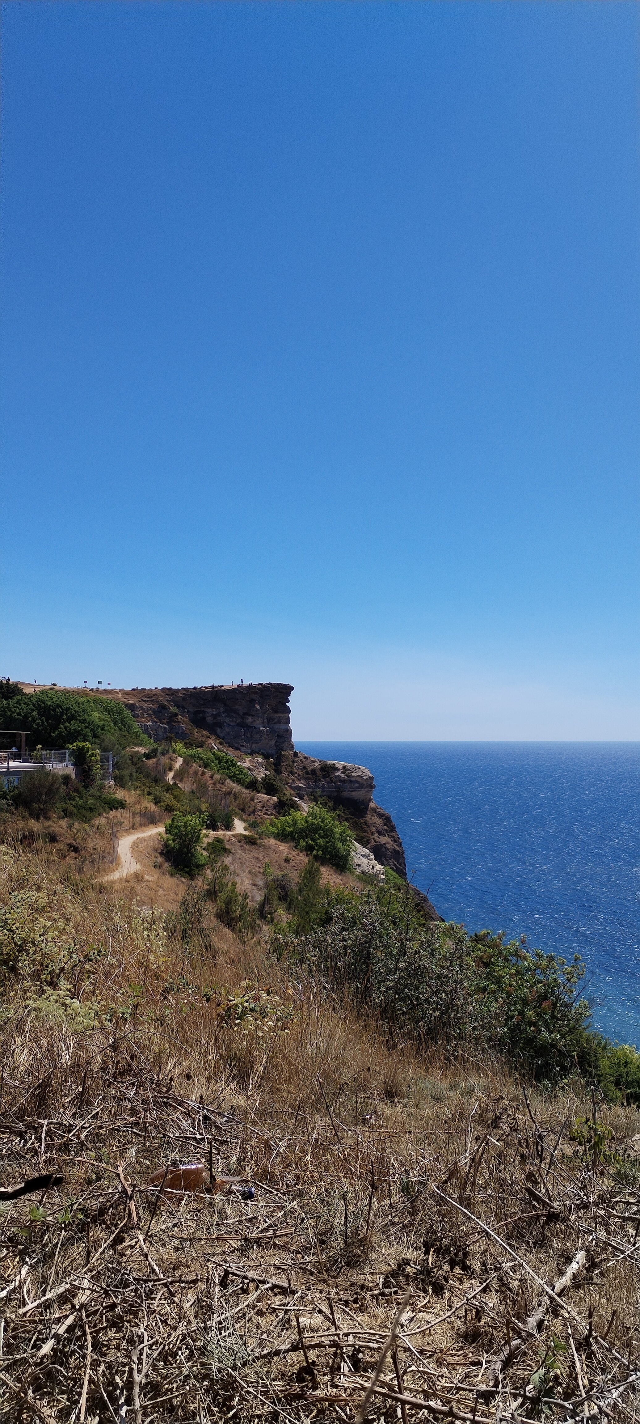 Фото Фиолентовский