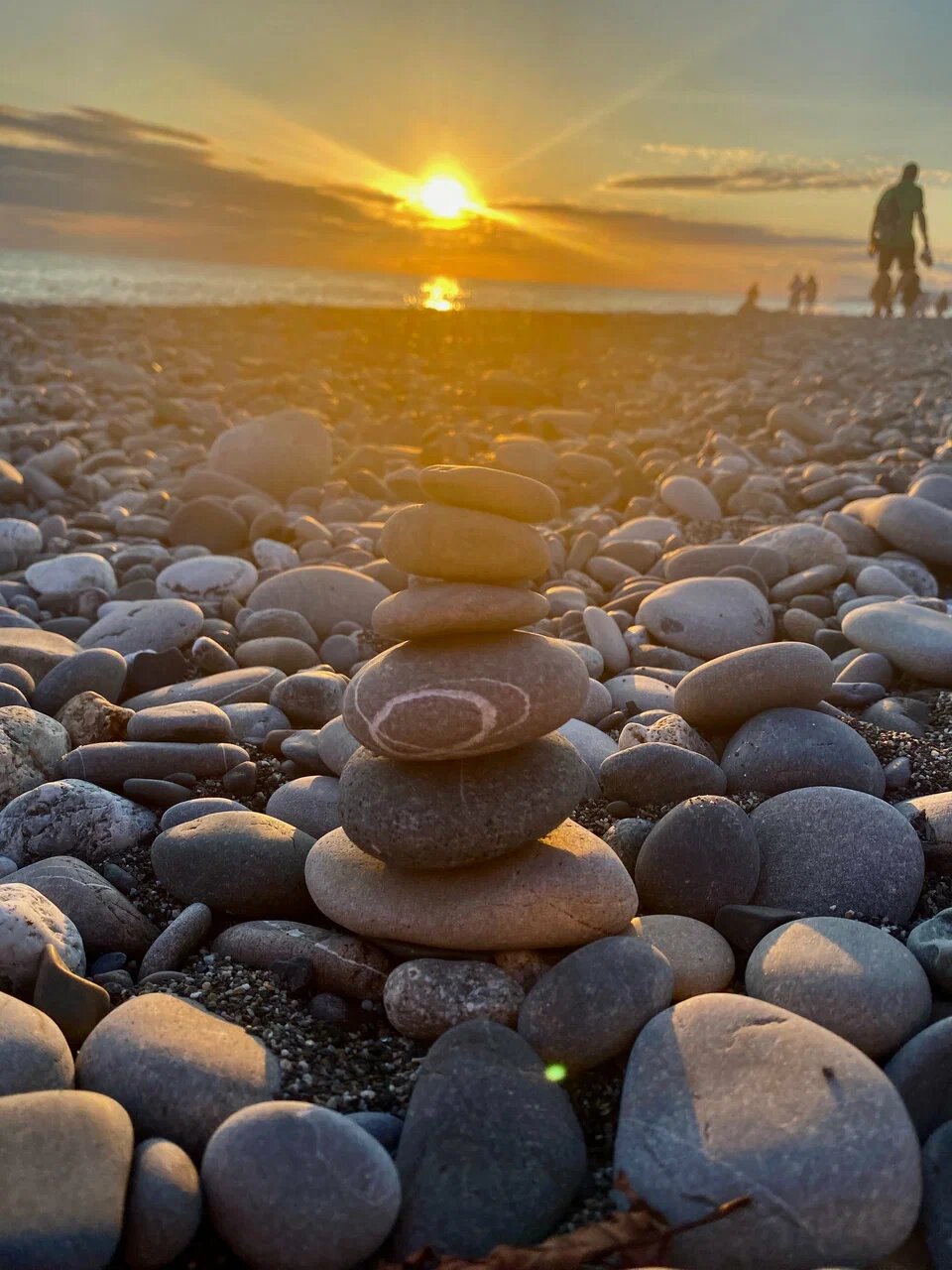 Фото Селена