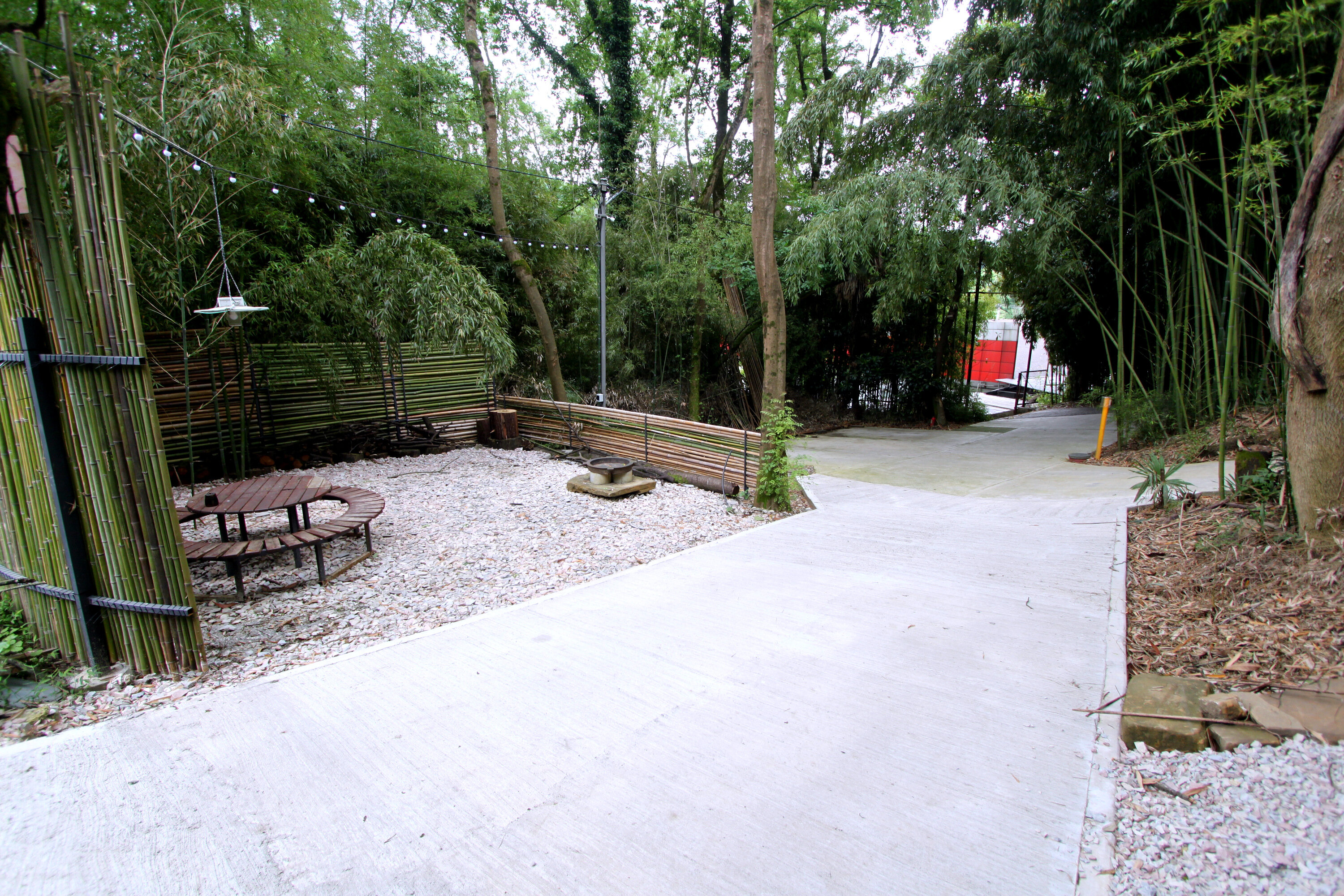 Фото Бамбуковая Роща