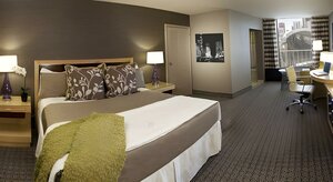 Гостиница Plaza Hotel and Casino - Las Vegas