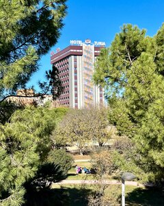 Гостиница Hotel Turia Valencia