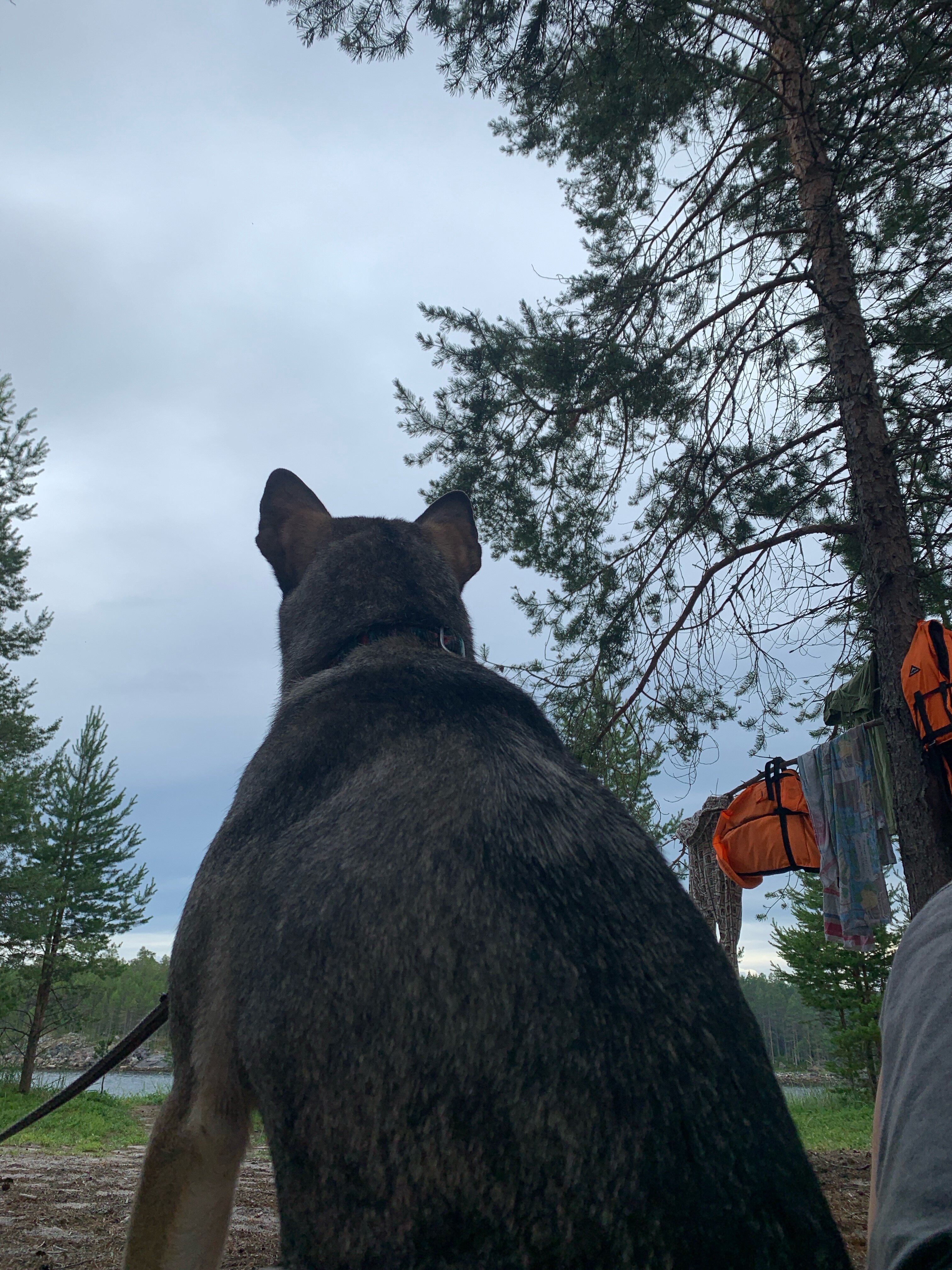 Фото Полярный круг