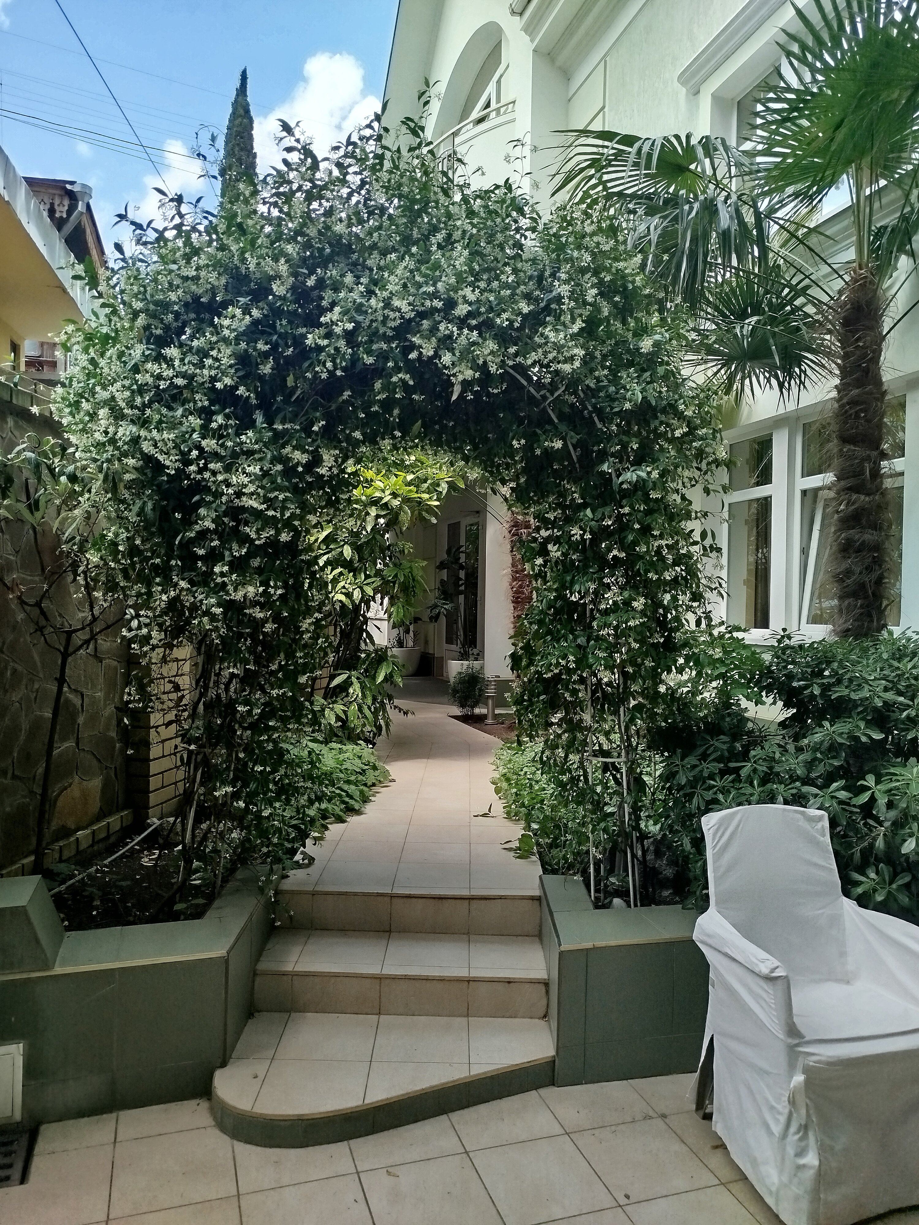 Фото Акварель