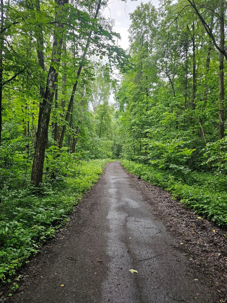 Фото Ливадия